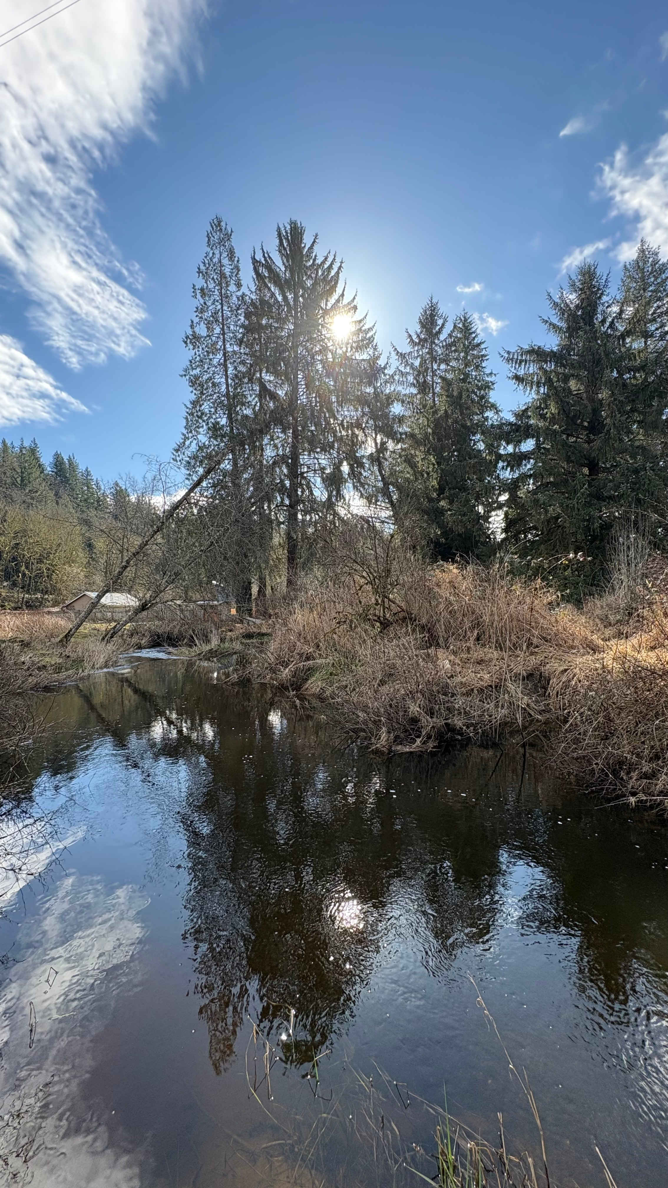Woods Creek Under the Power Wire