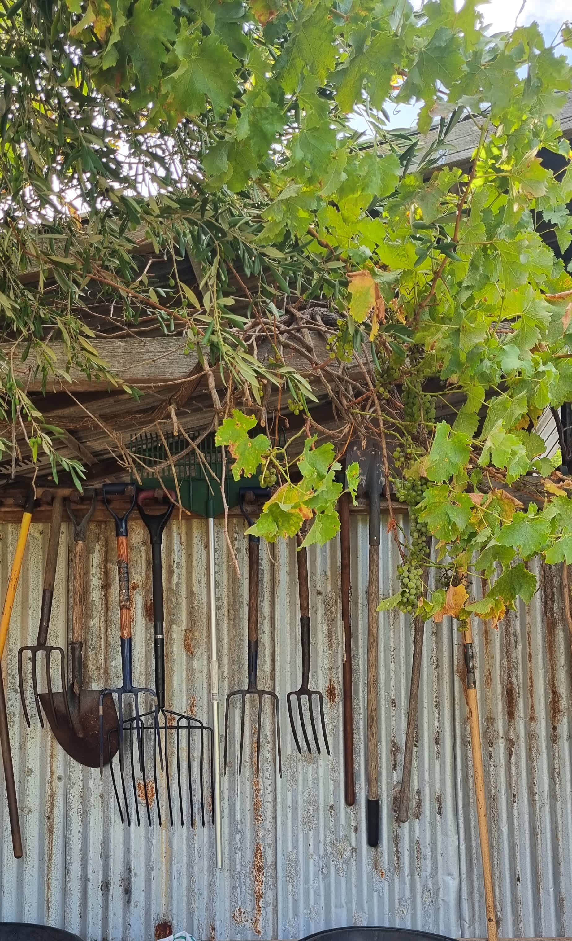 Fair Harvest Retreat Margaret River