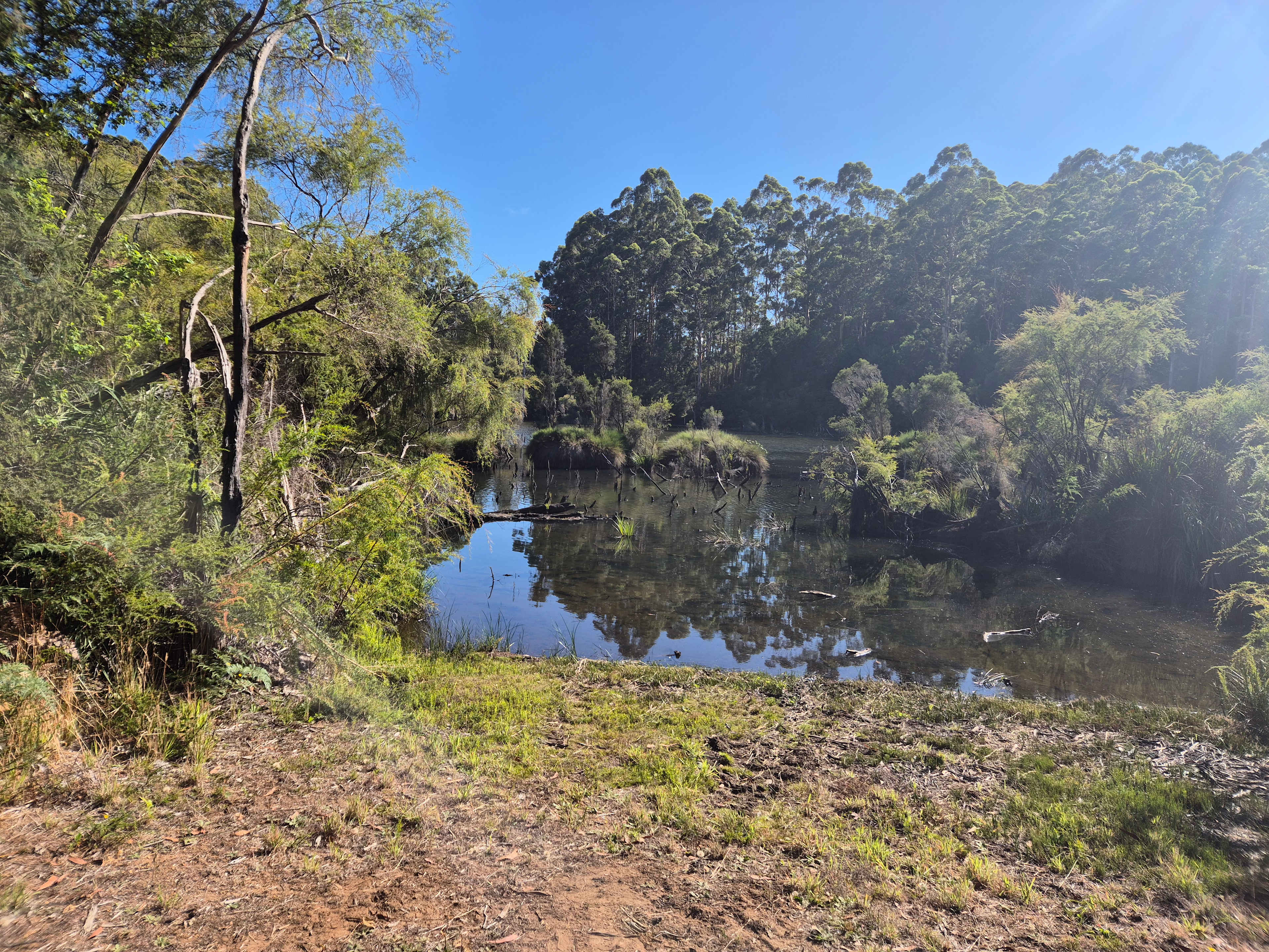 Mountford Wines & Cider Pemberton