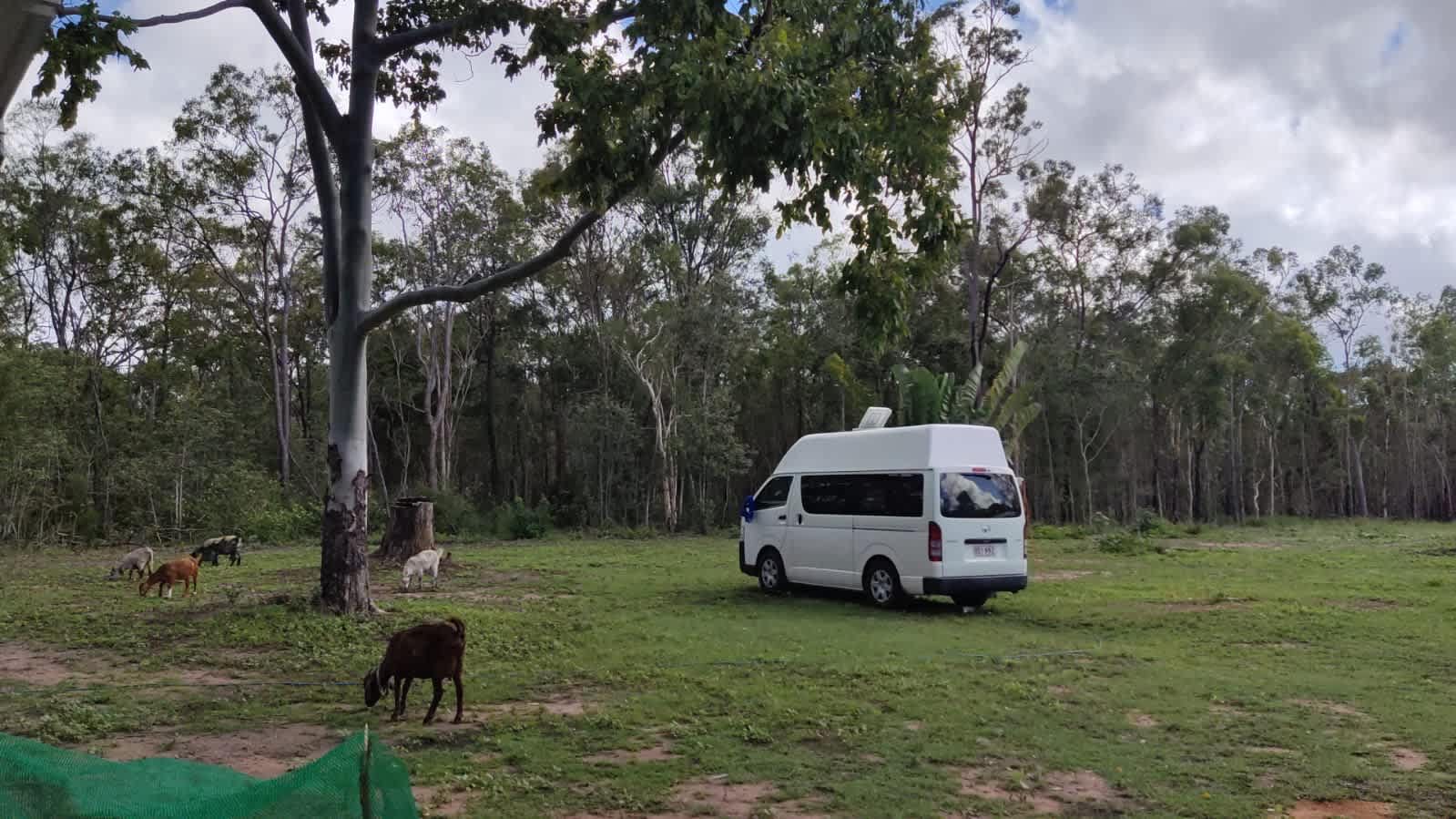 Woodlands Farmstay and Glamping