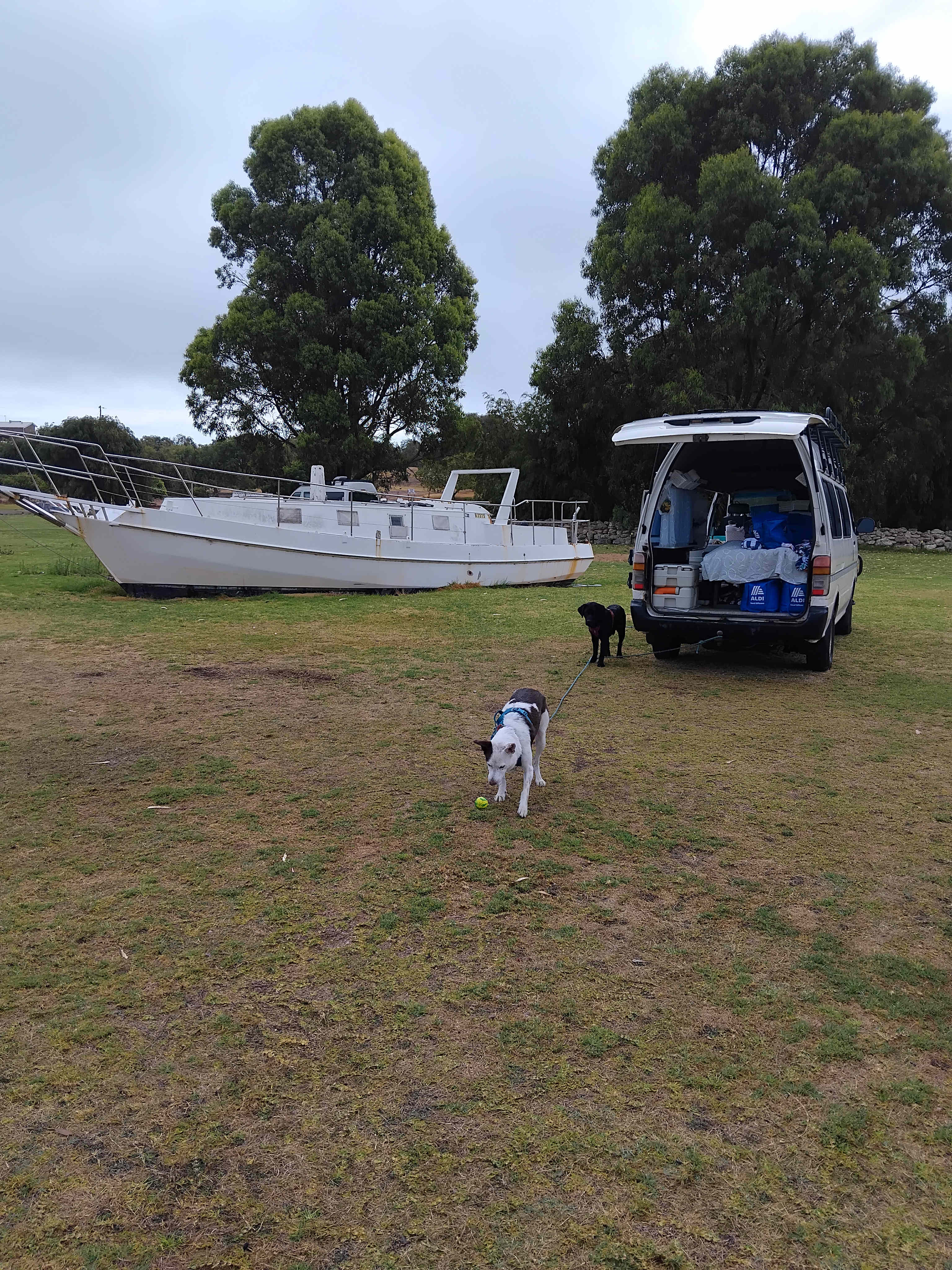 Lake Preston Lime Paddock