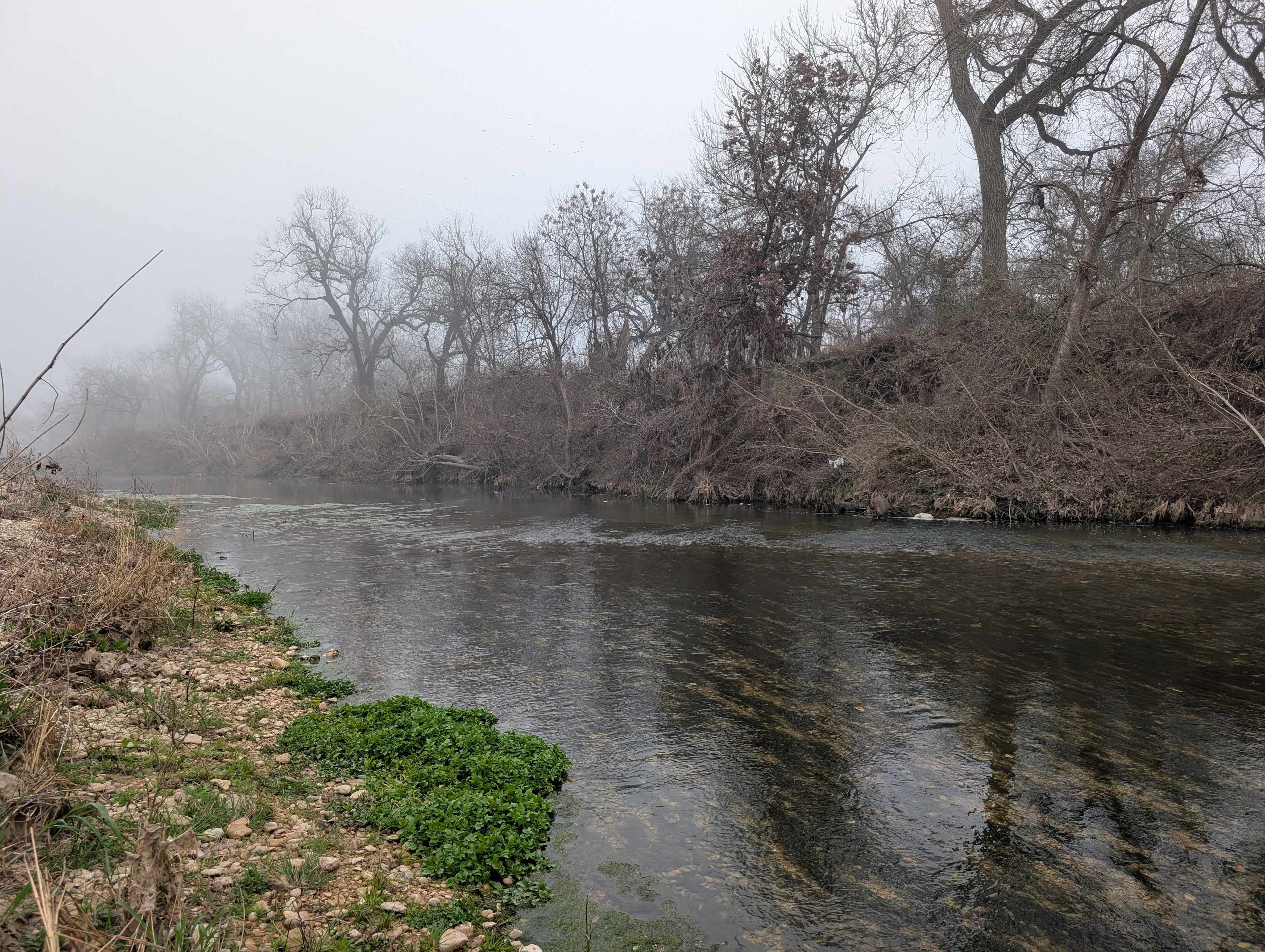 P² Farm | Scenic River Camping