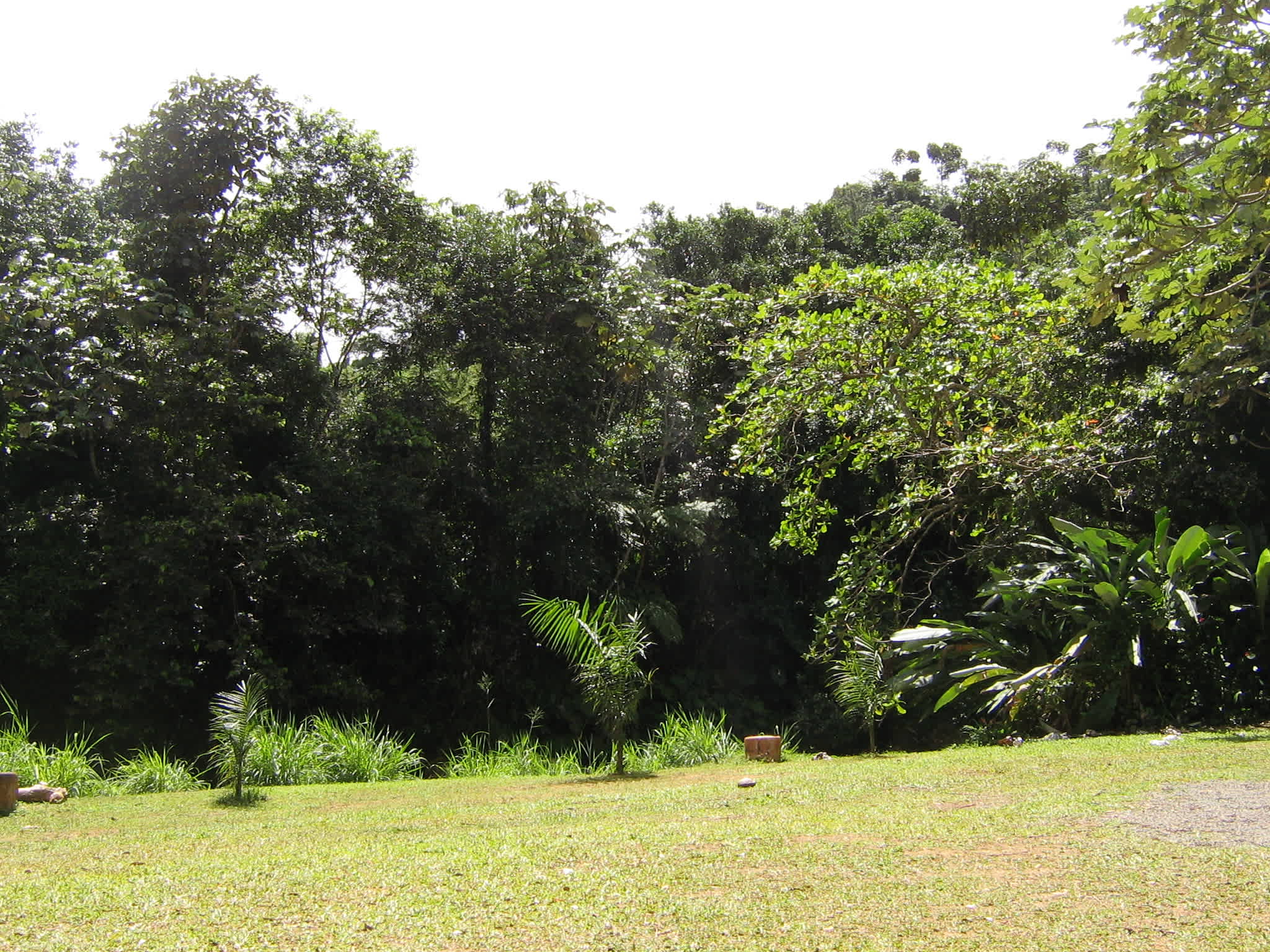 Hacienda Monte Rey near El Yunque