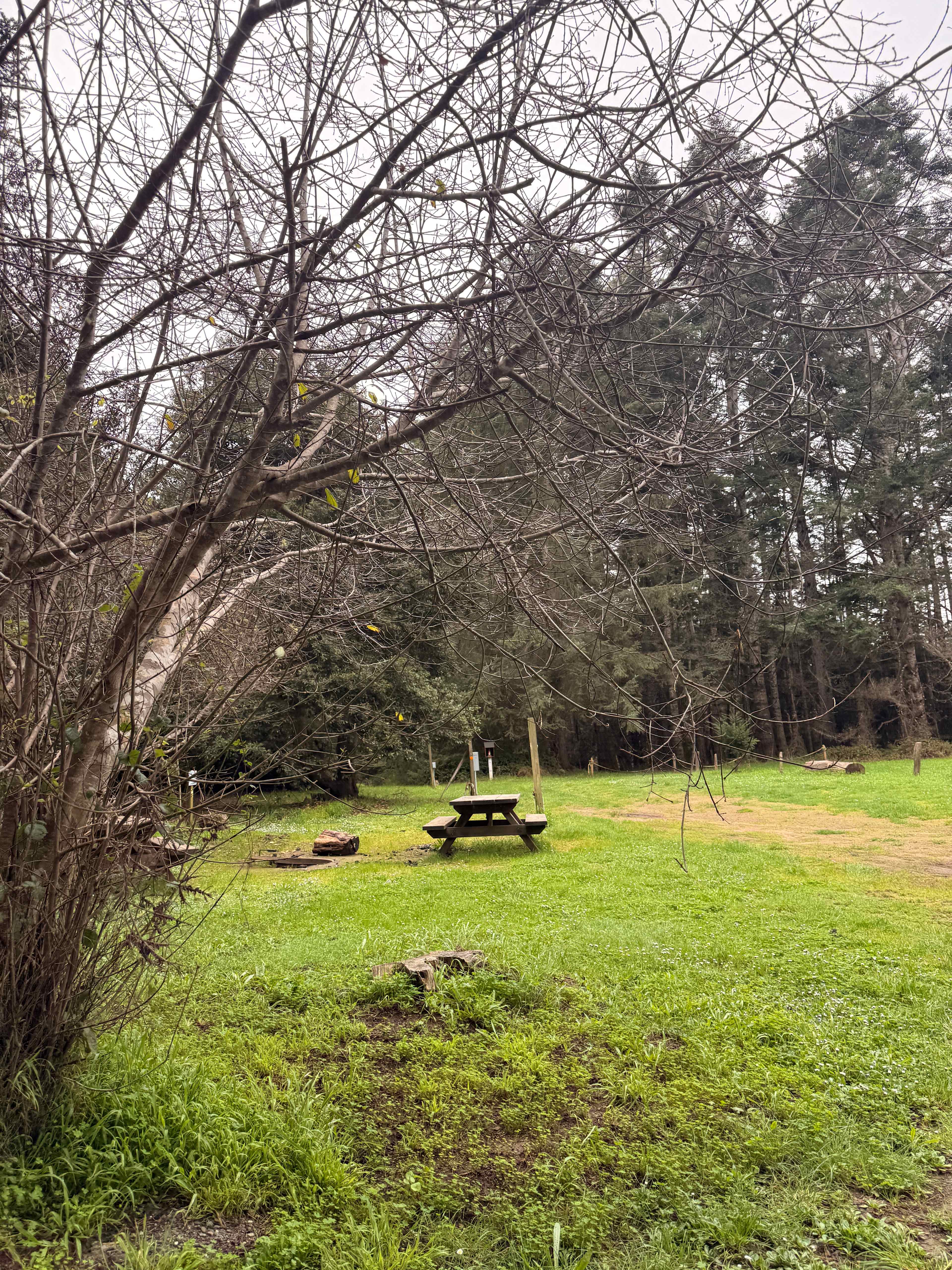 Jug Handle Creek Nature Center