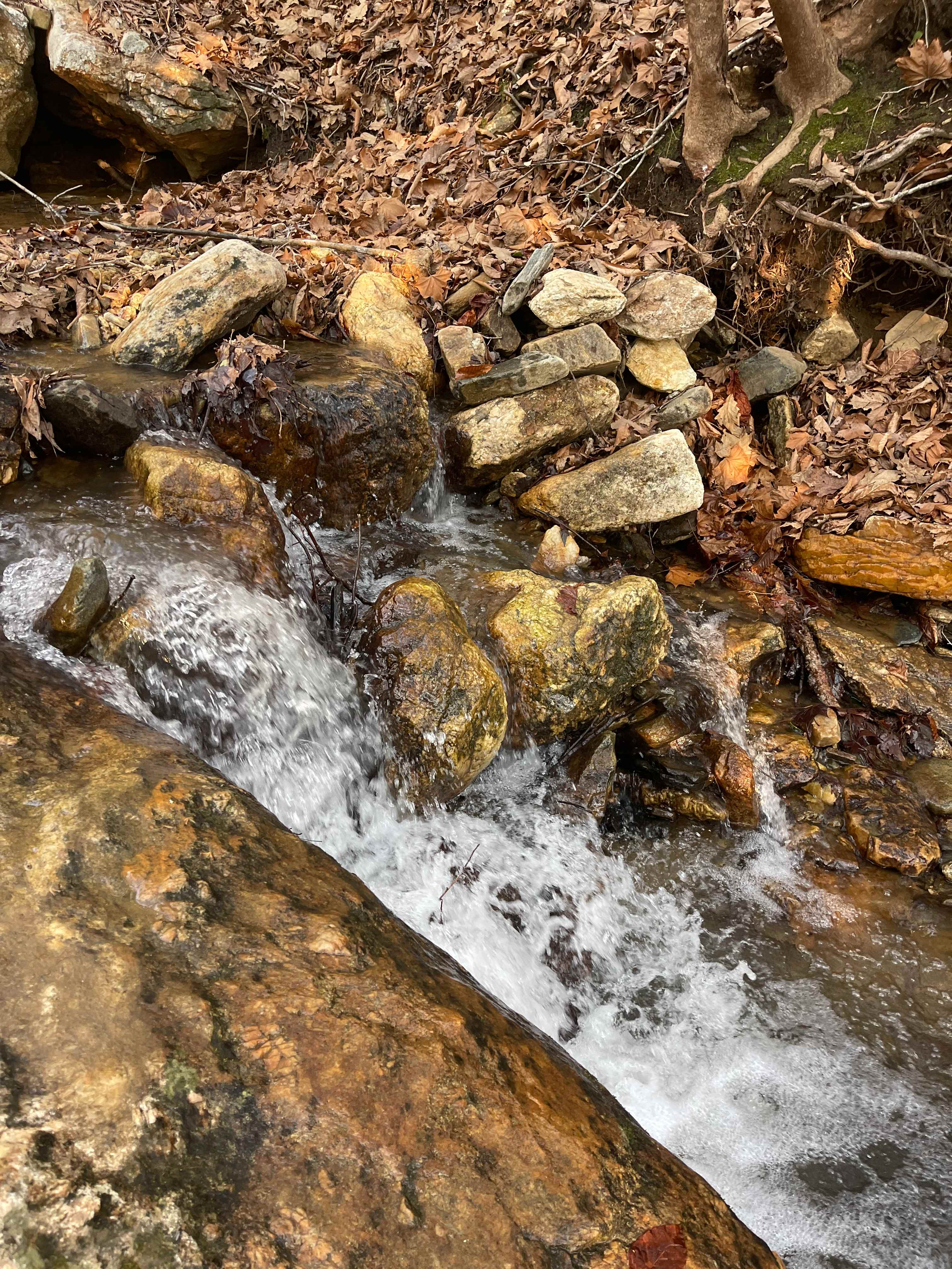 Plumtree Campground Tents & Cabins