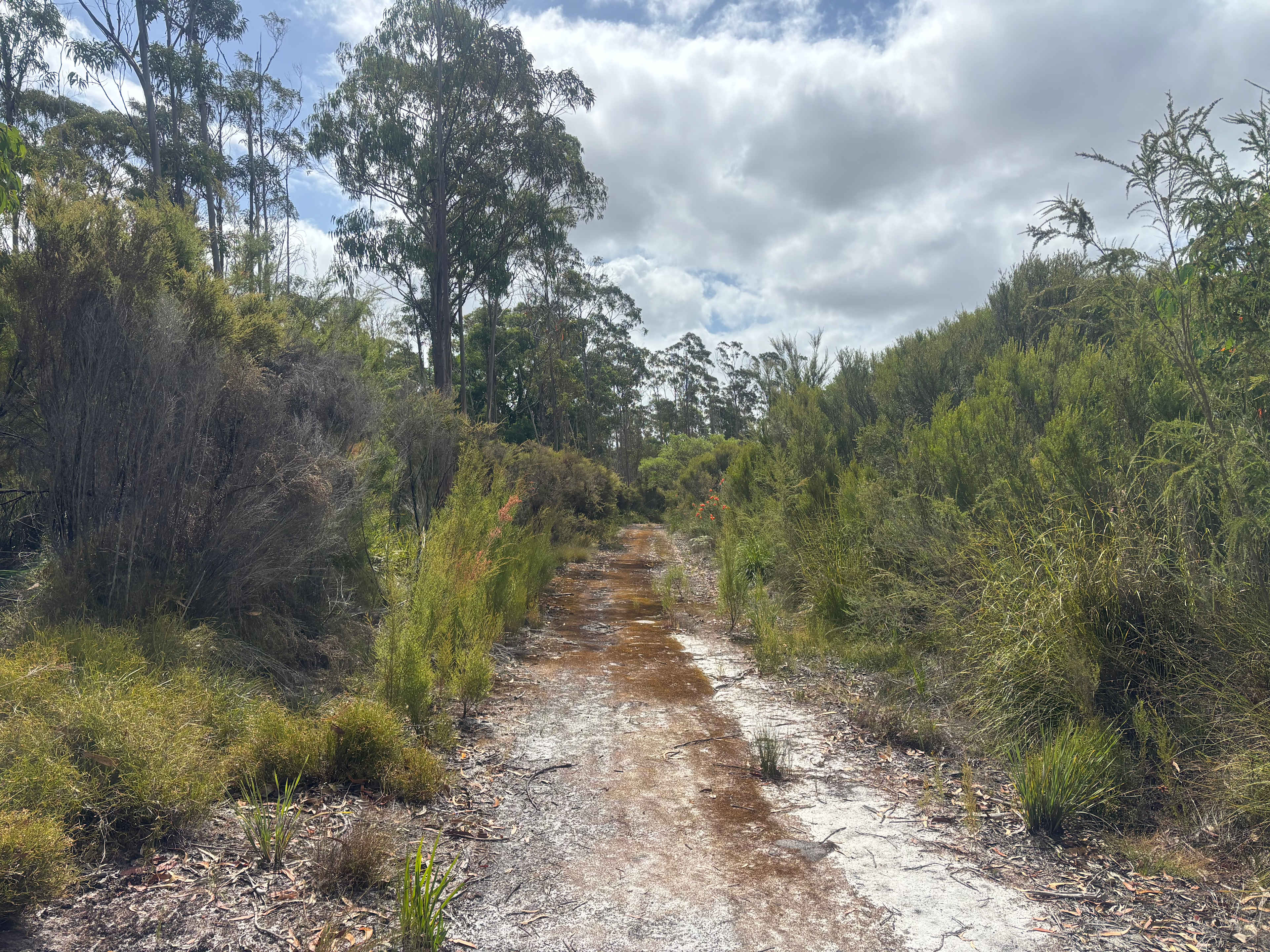 Northcliffe Deluxe Bush Camp