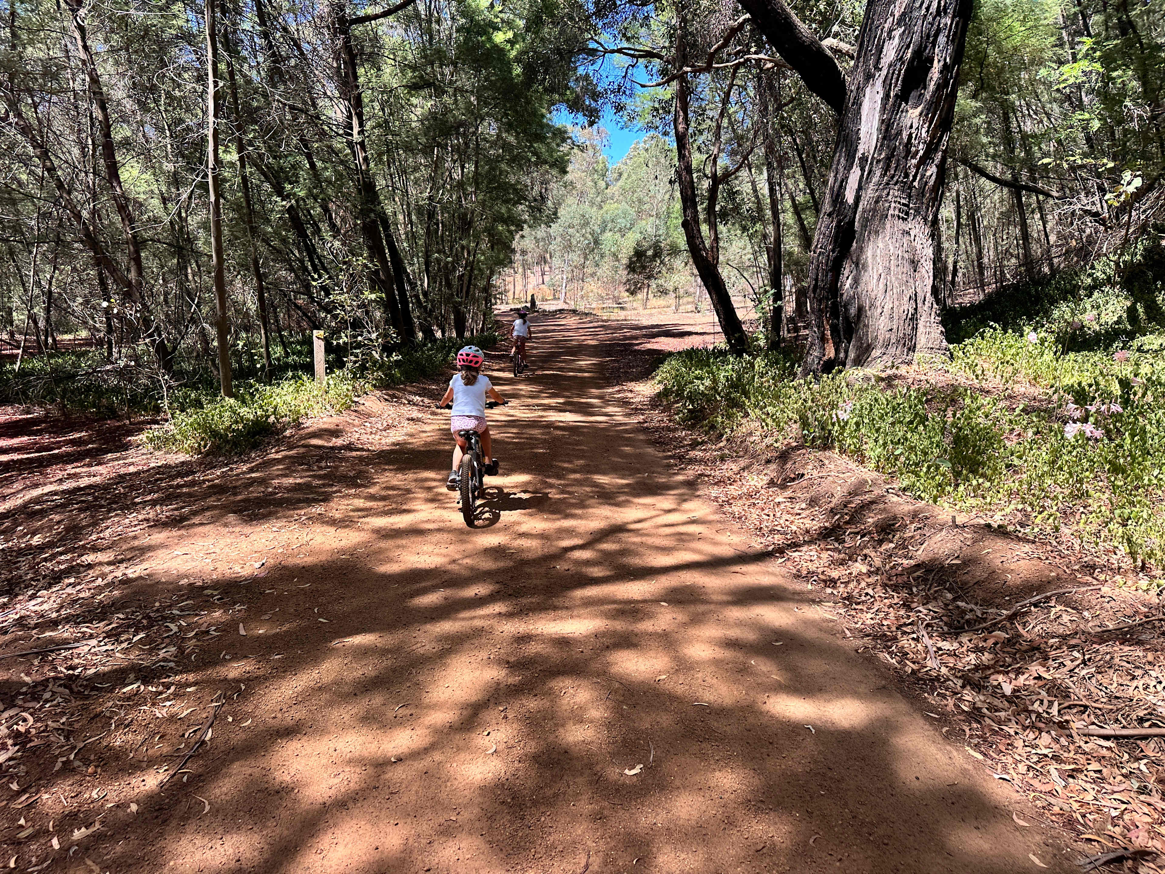 Dwellingup MTB