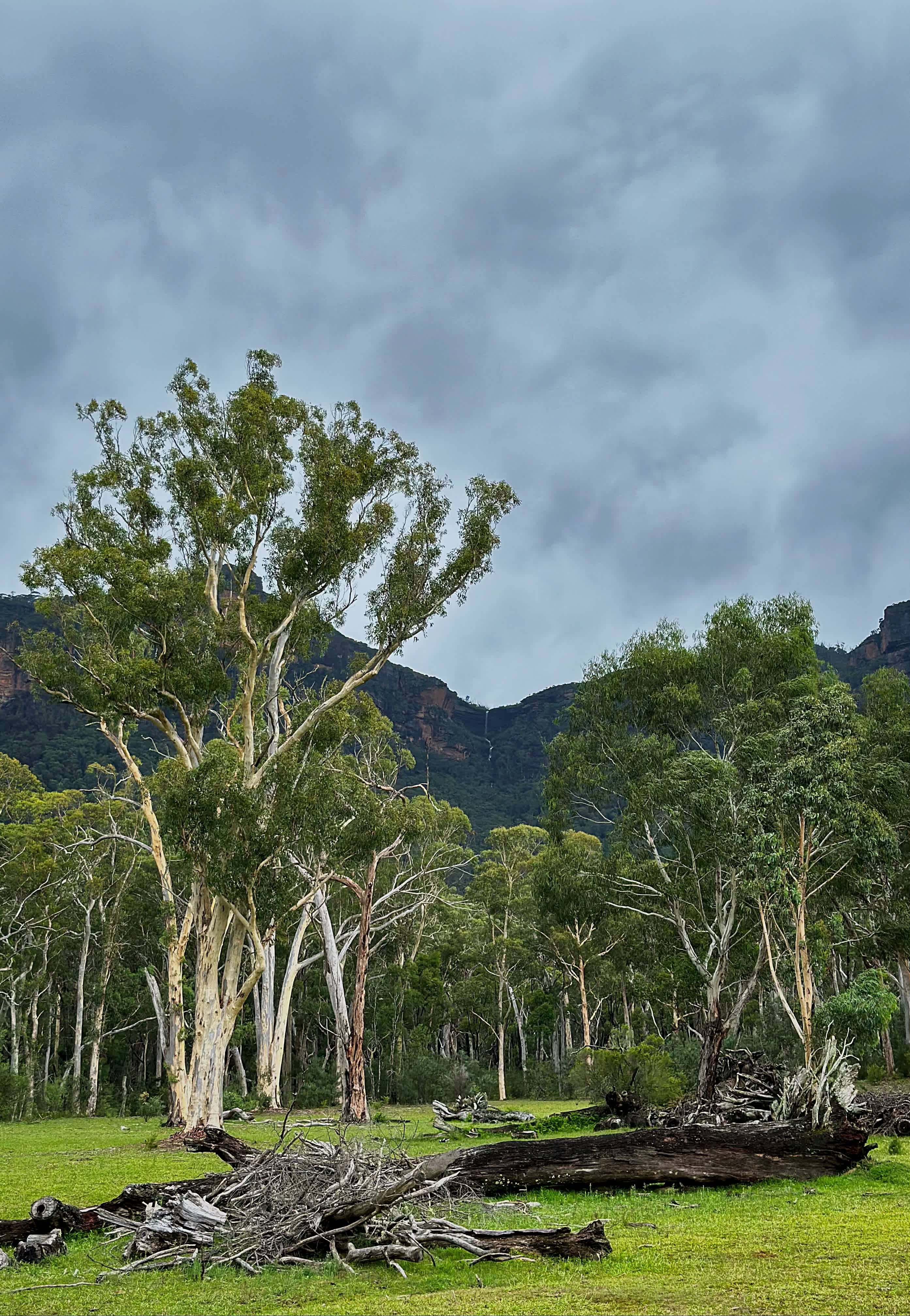 Nellies Glen Camping