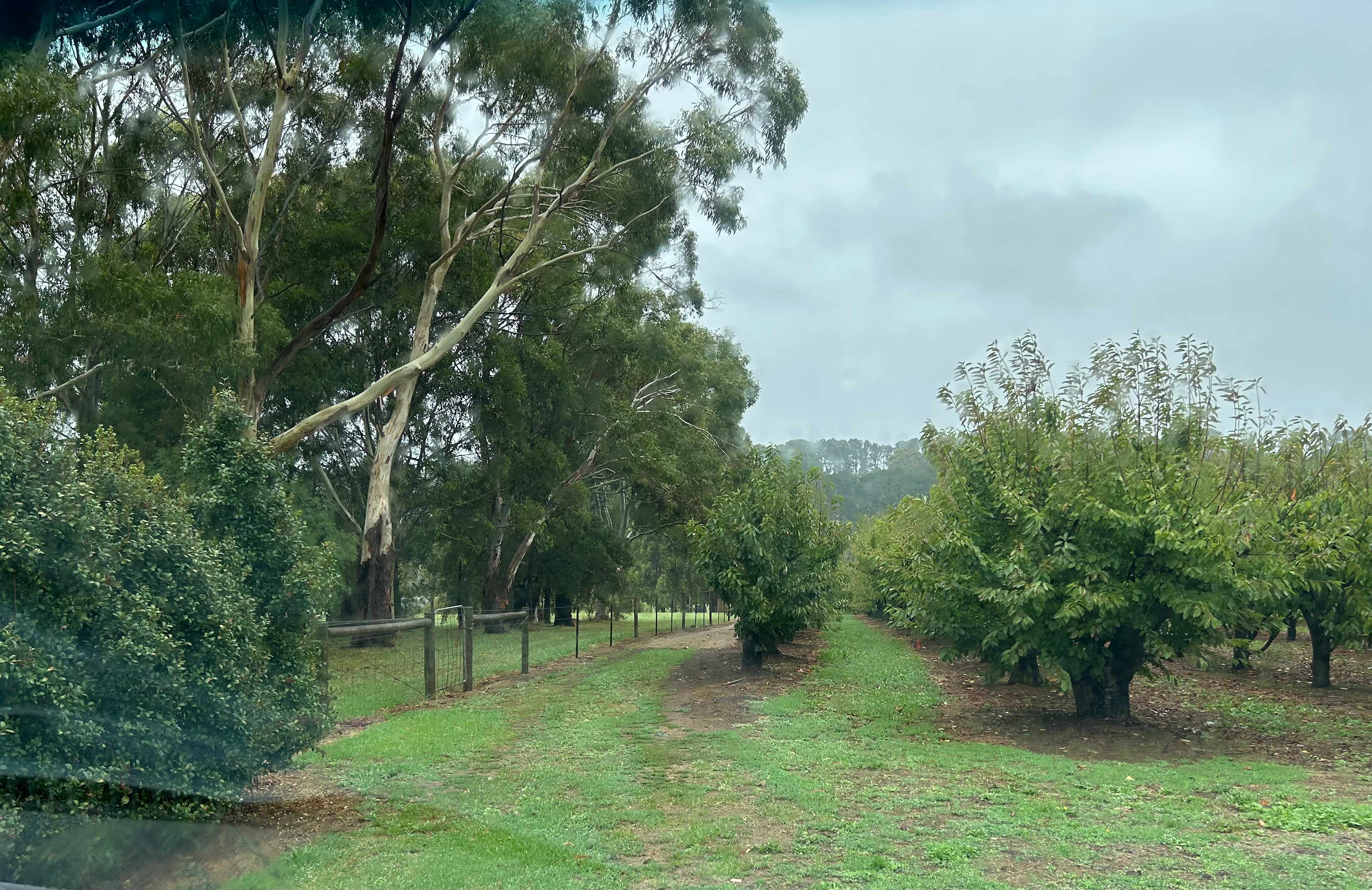 Red Hill Orchard Farm Stay