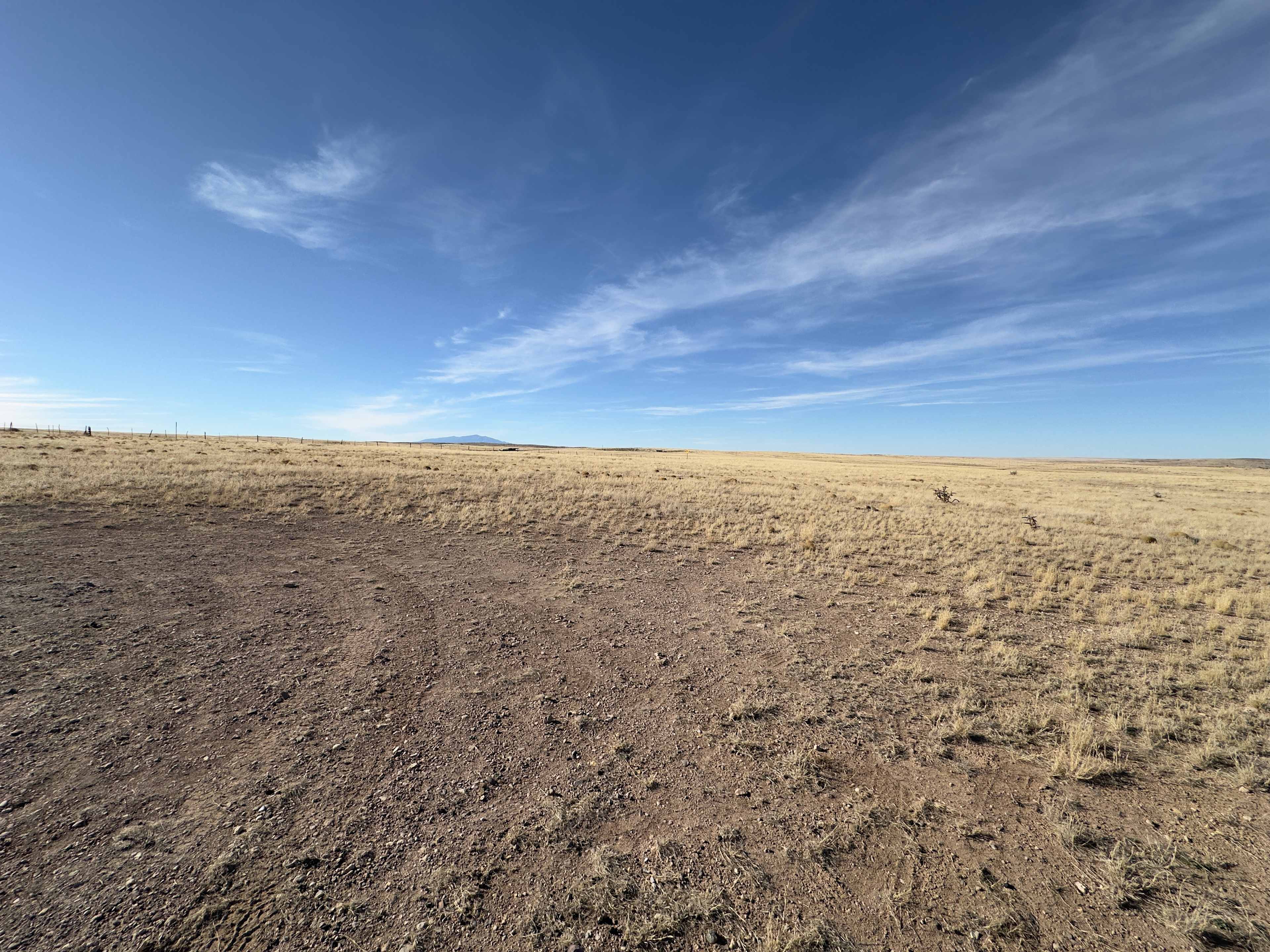 Dusty Rabbit Van Life