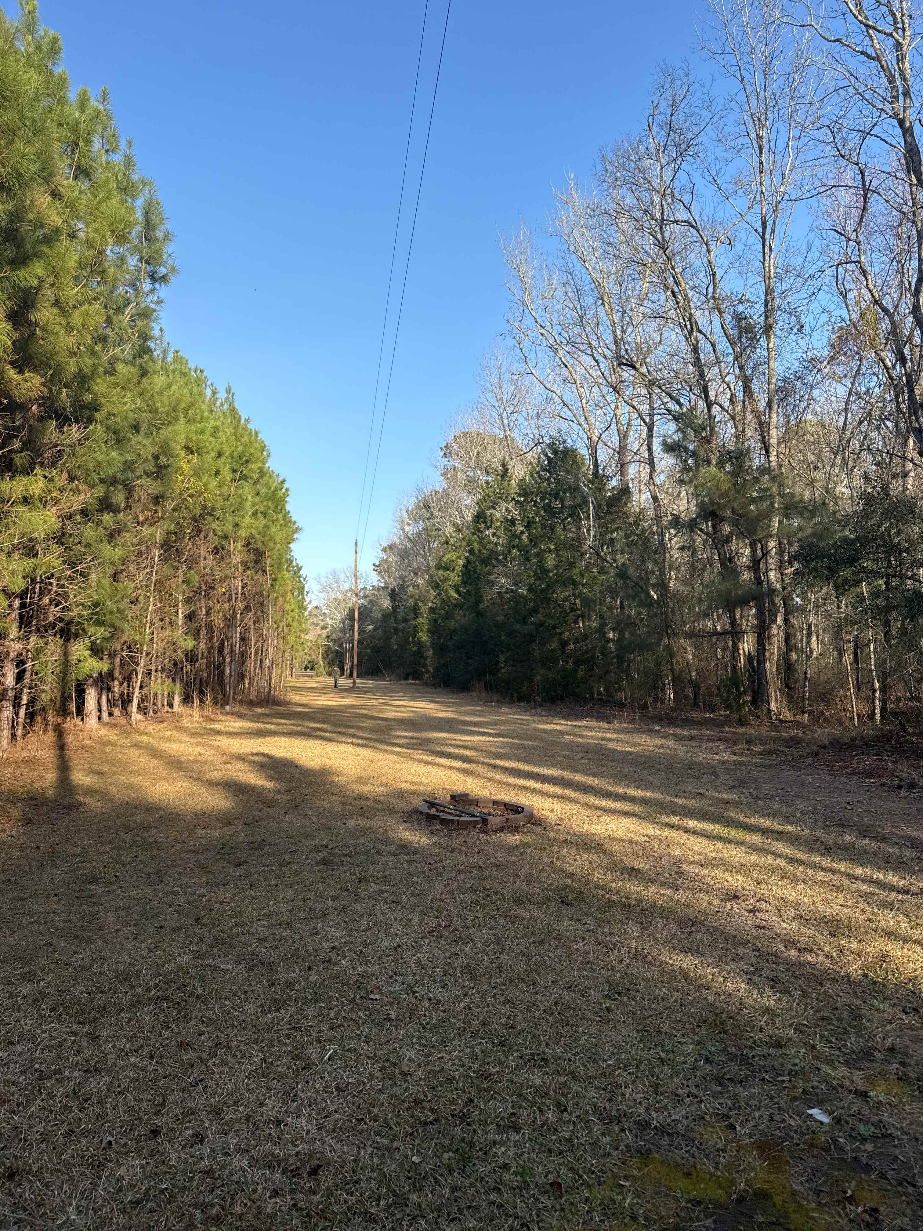 Rustic Natural Campsite