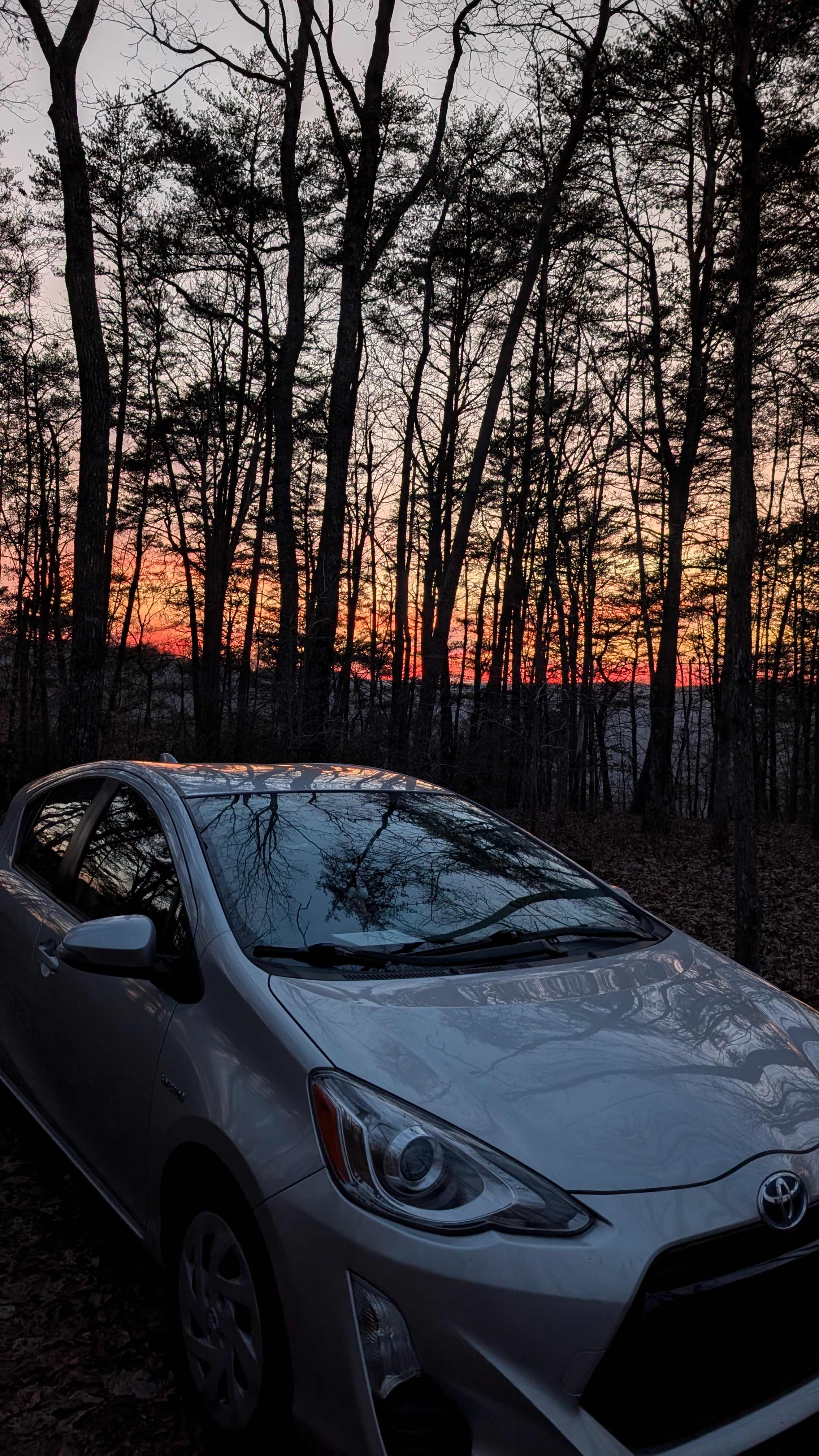 The Falls at Sewanee Creek