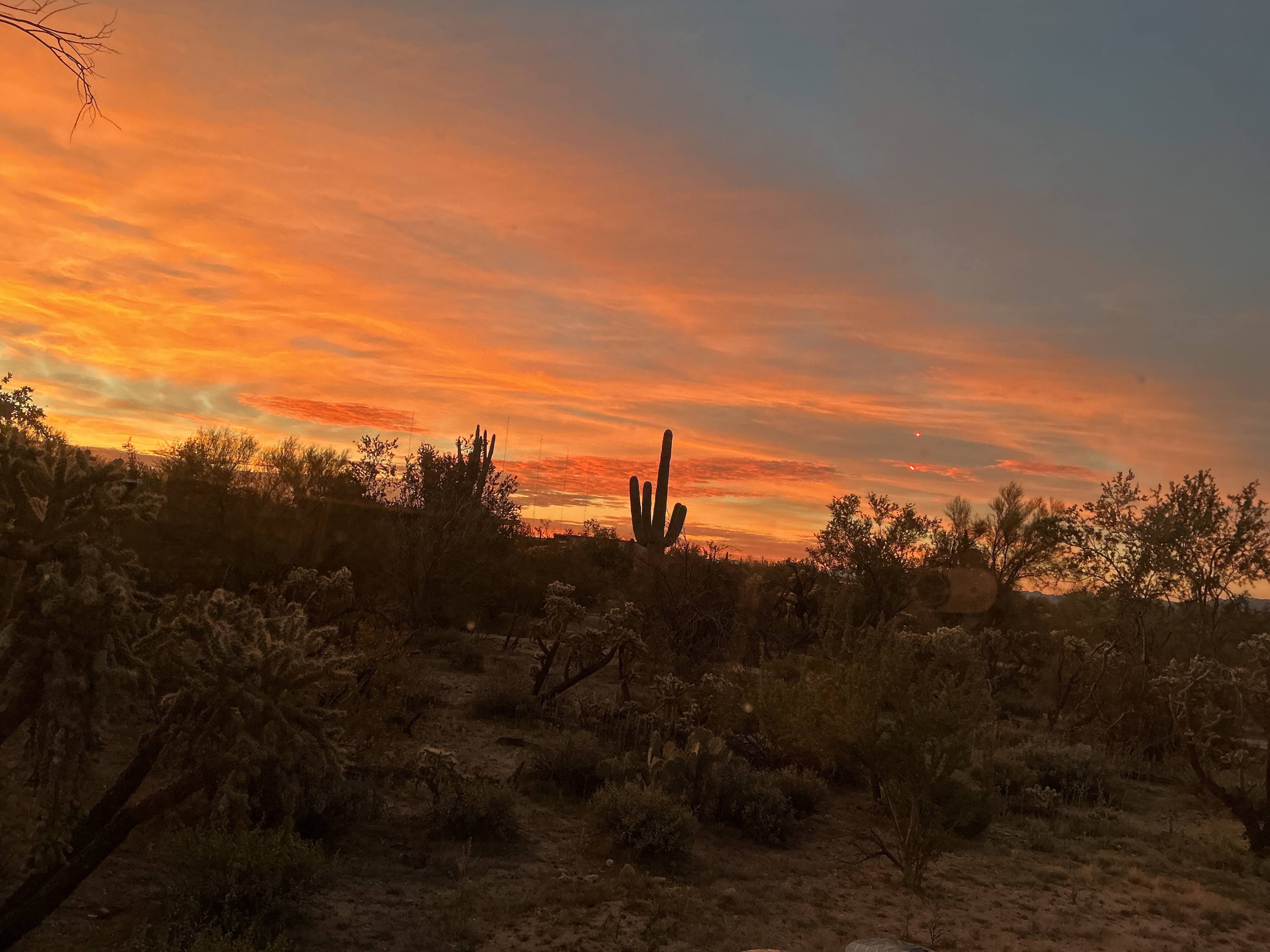 Wild Burro Desert Retreat