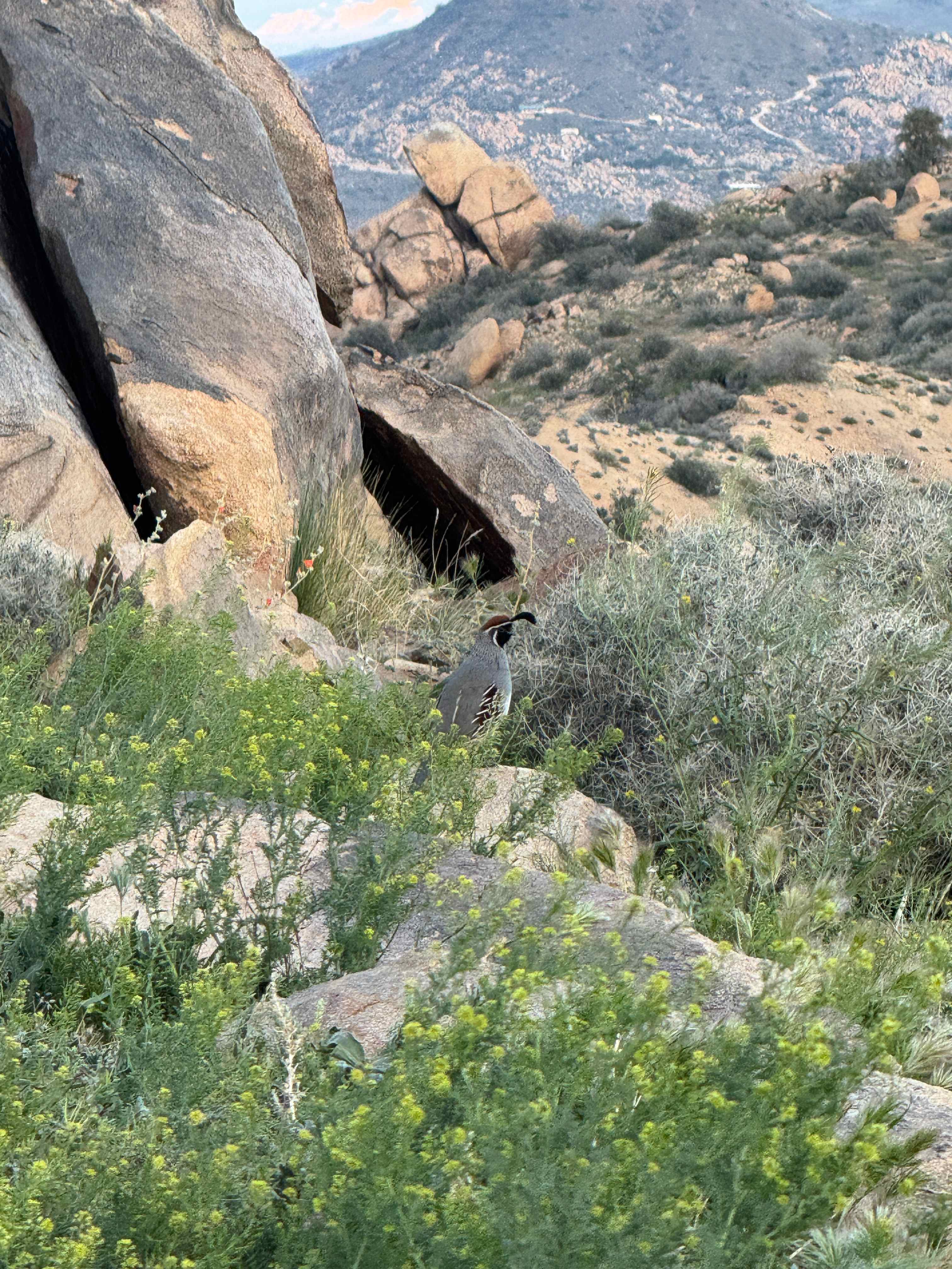 Boulder Gardens Sanctuary