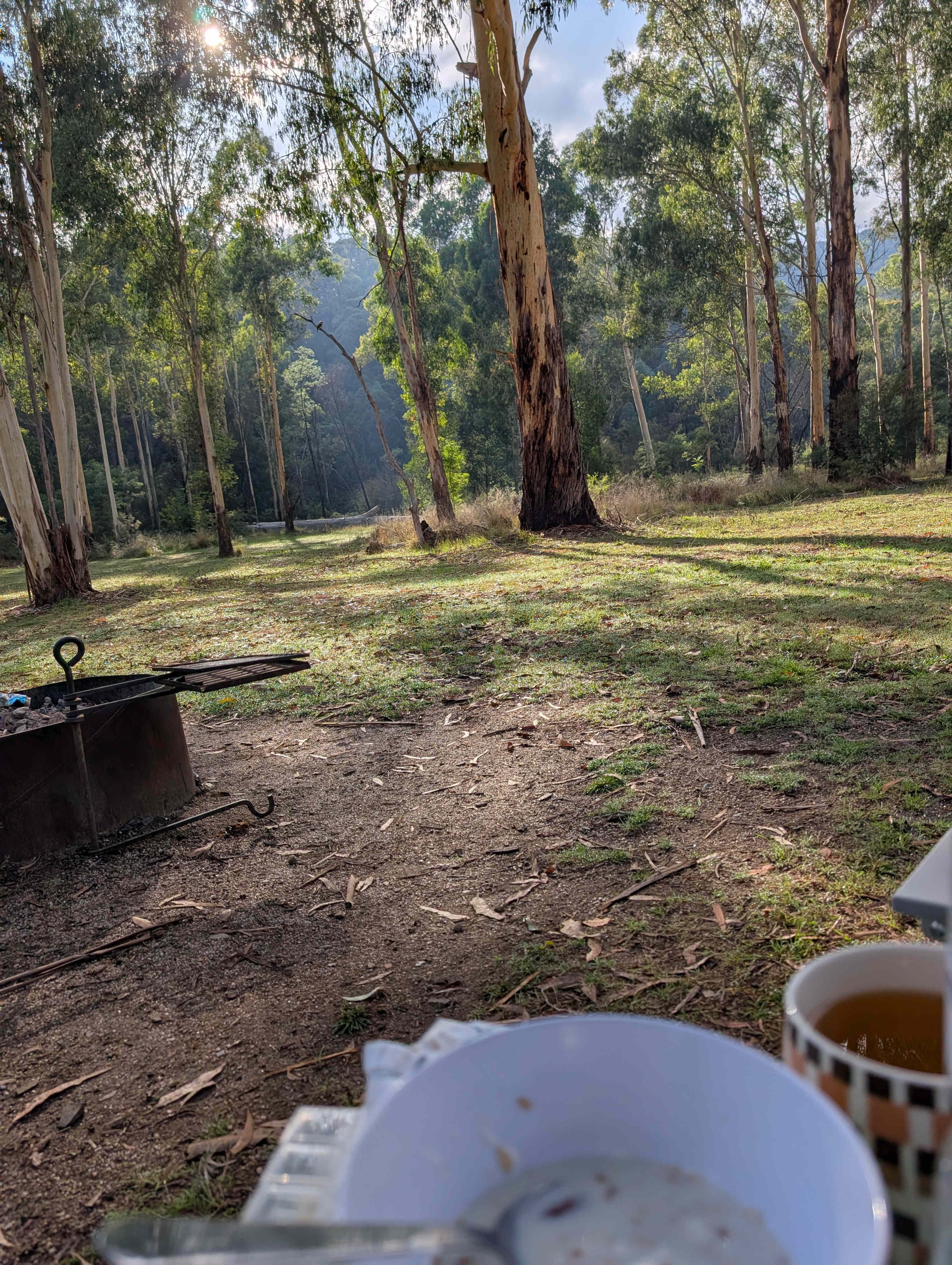 High Country Paradise