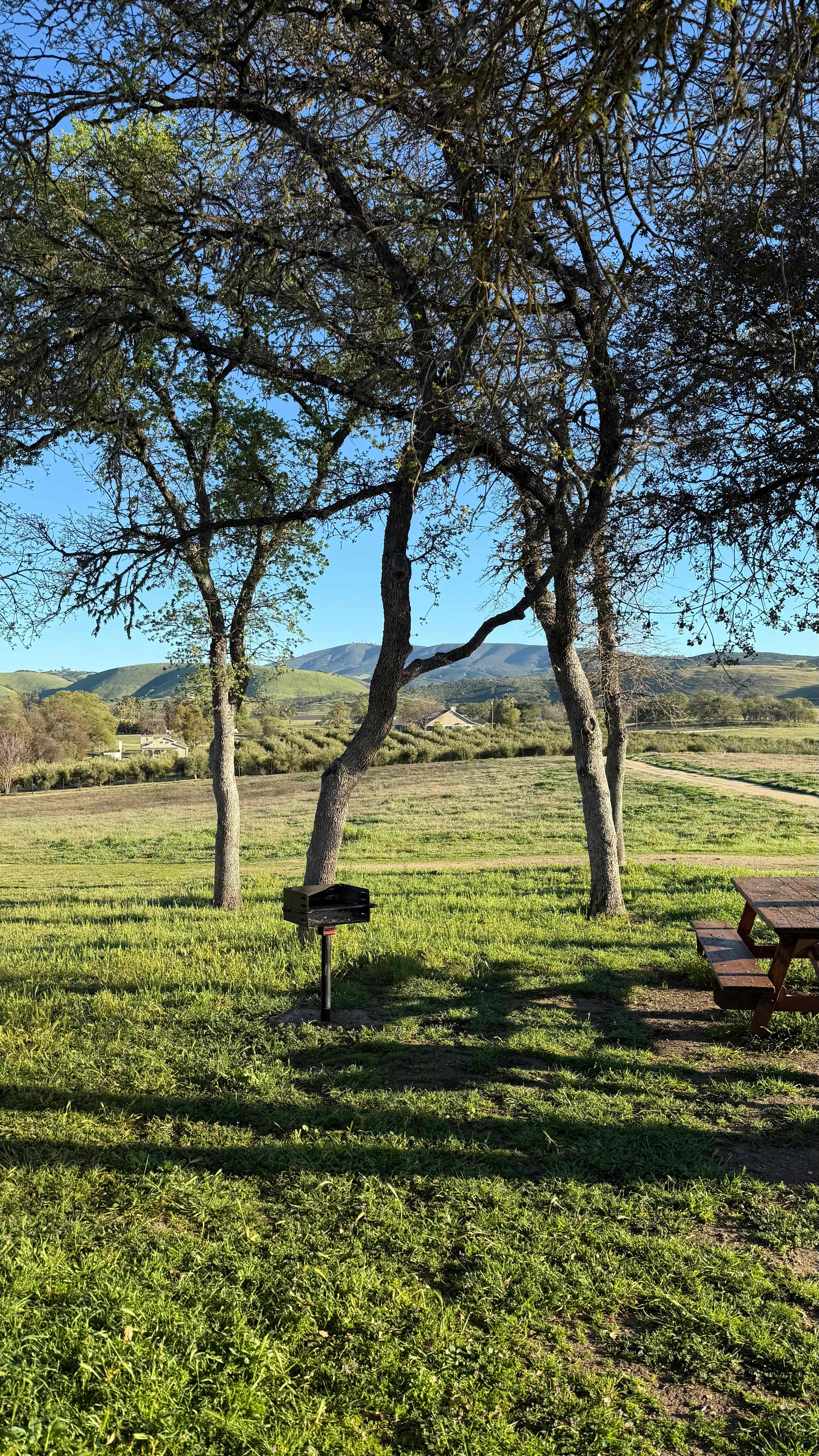 Road's End, Bradley Lockwood