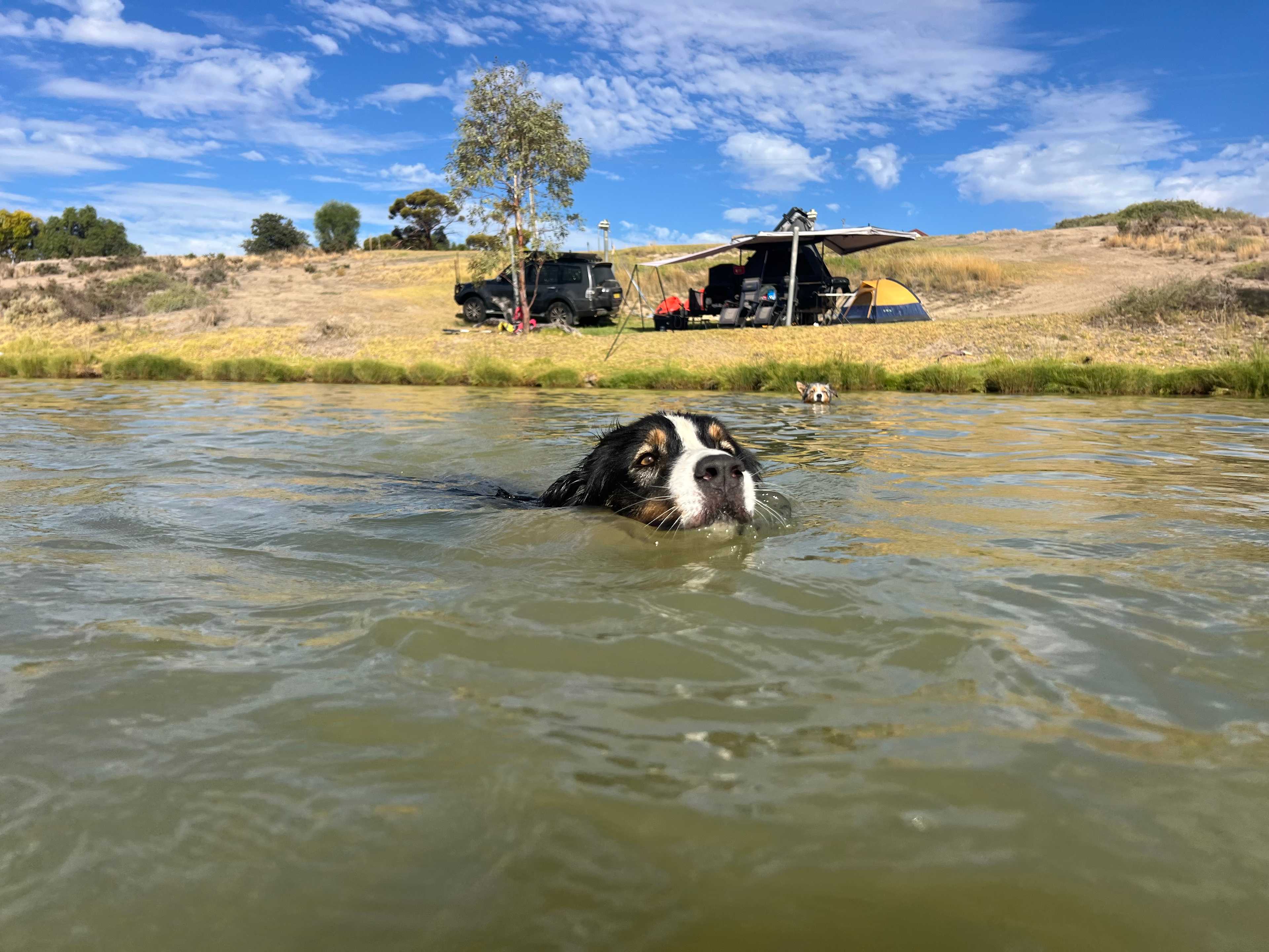 Williams Hill Lake Charm vic 3581