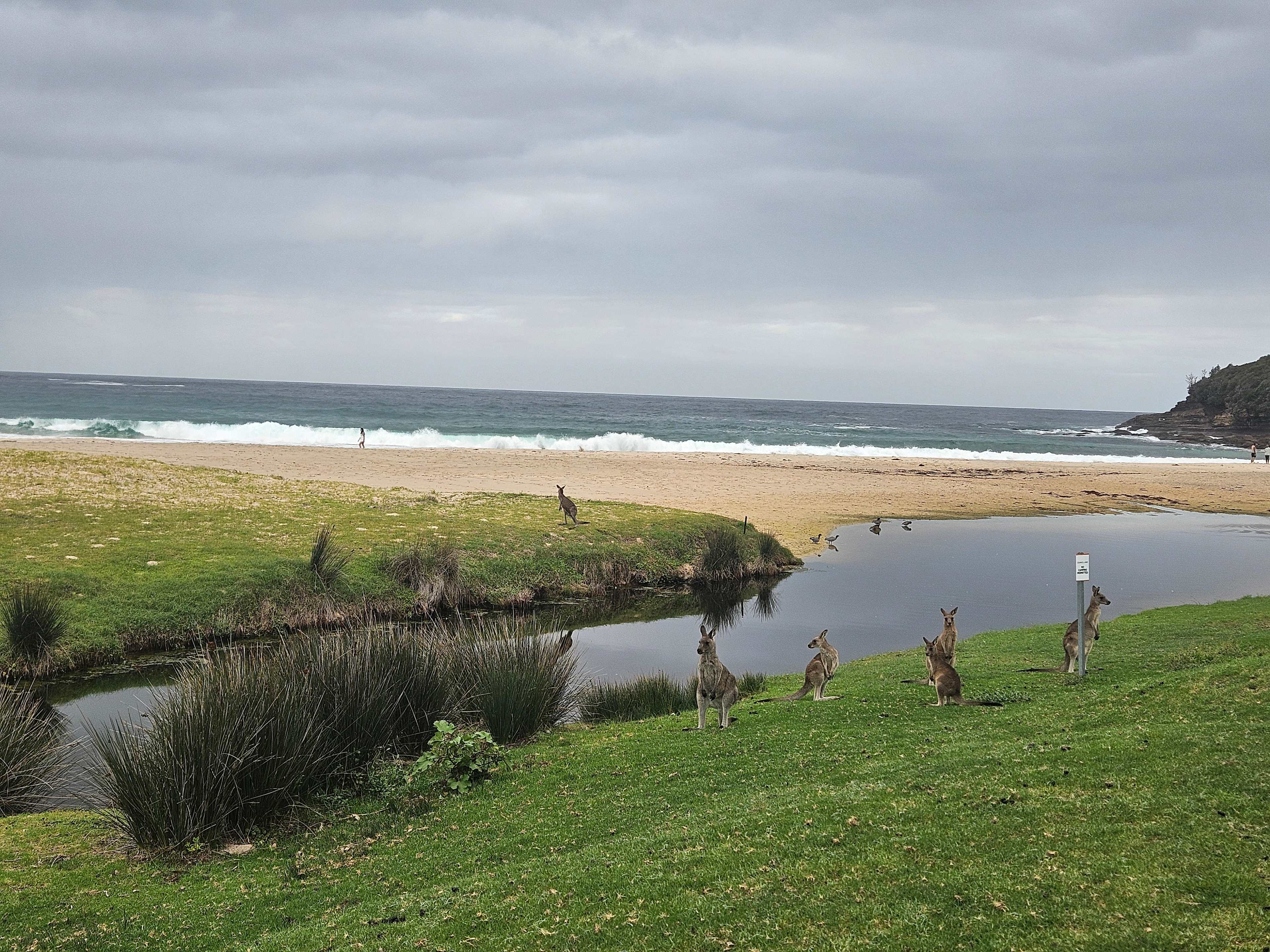 Ingenia Holidays Merry Beach