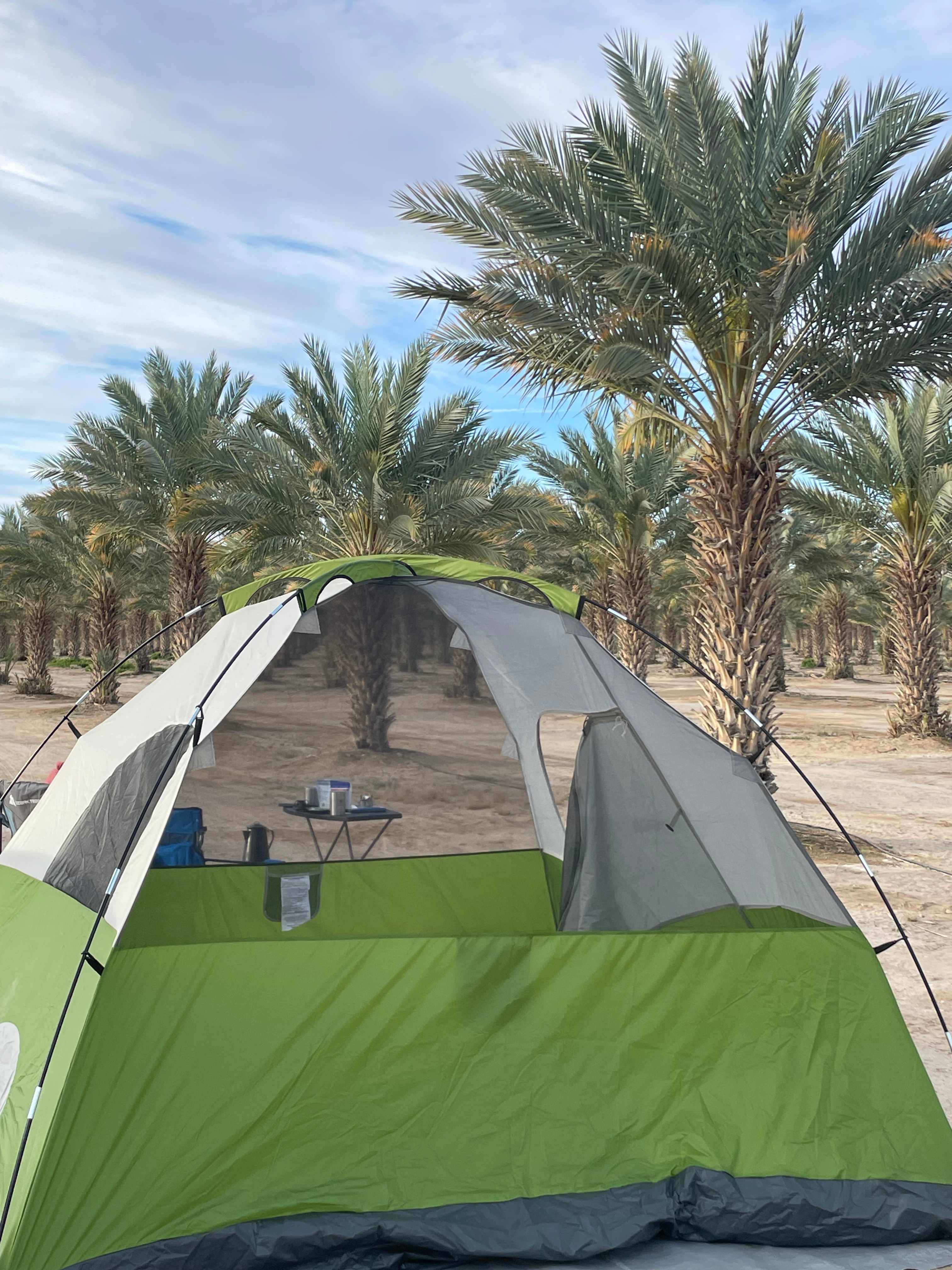 Brewery on an Organic Date Farm