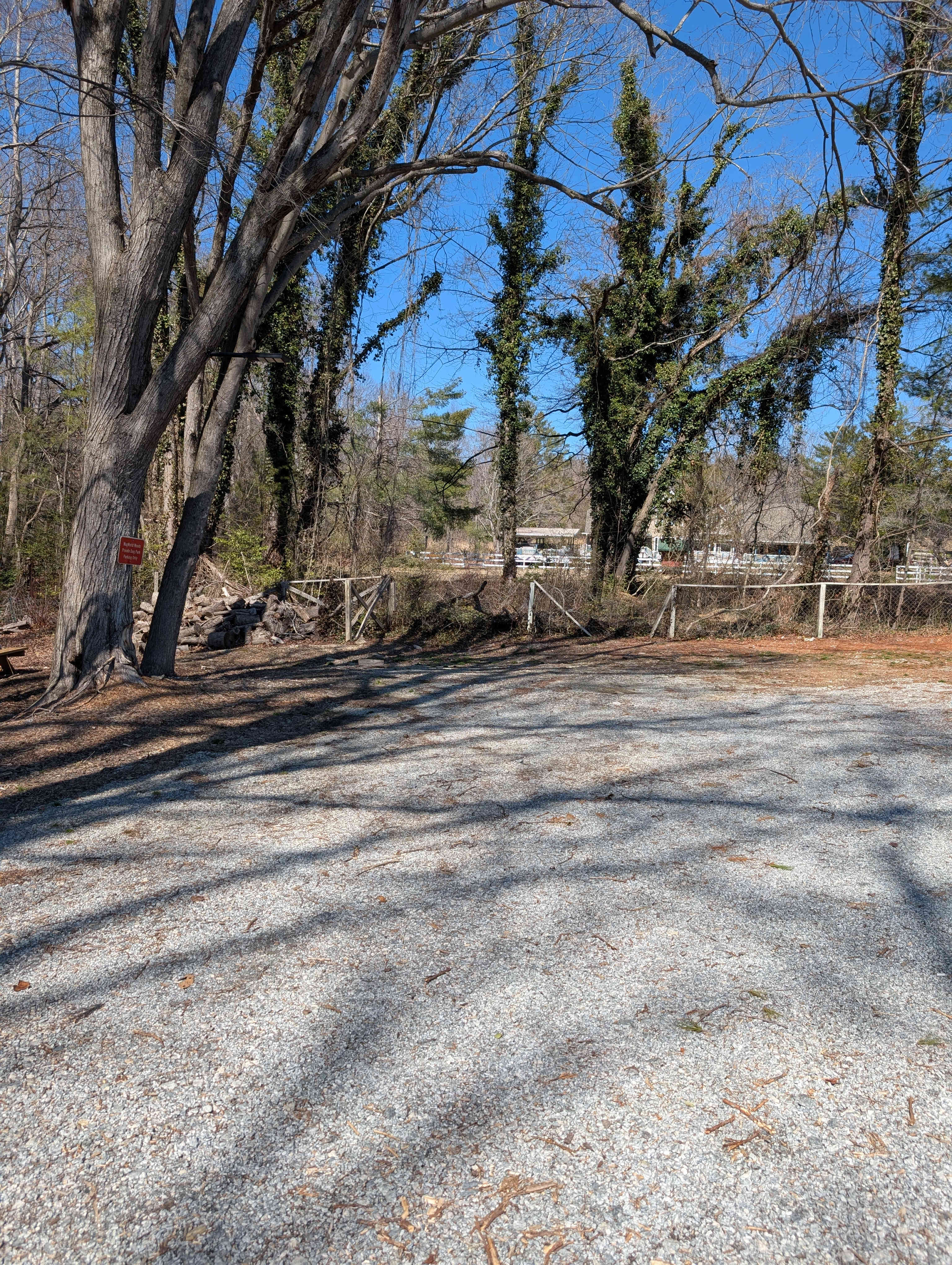 WagWorld Off-leash Resort