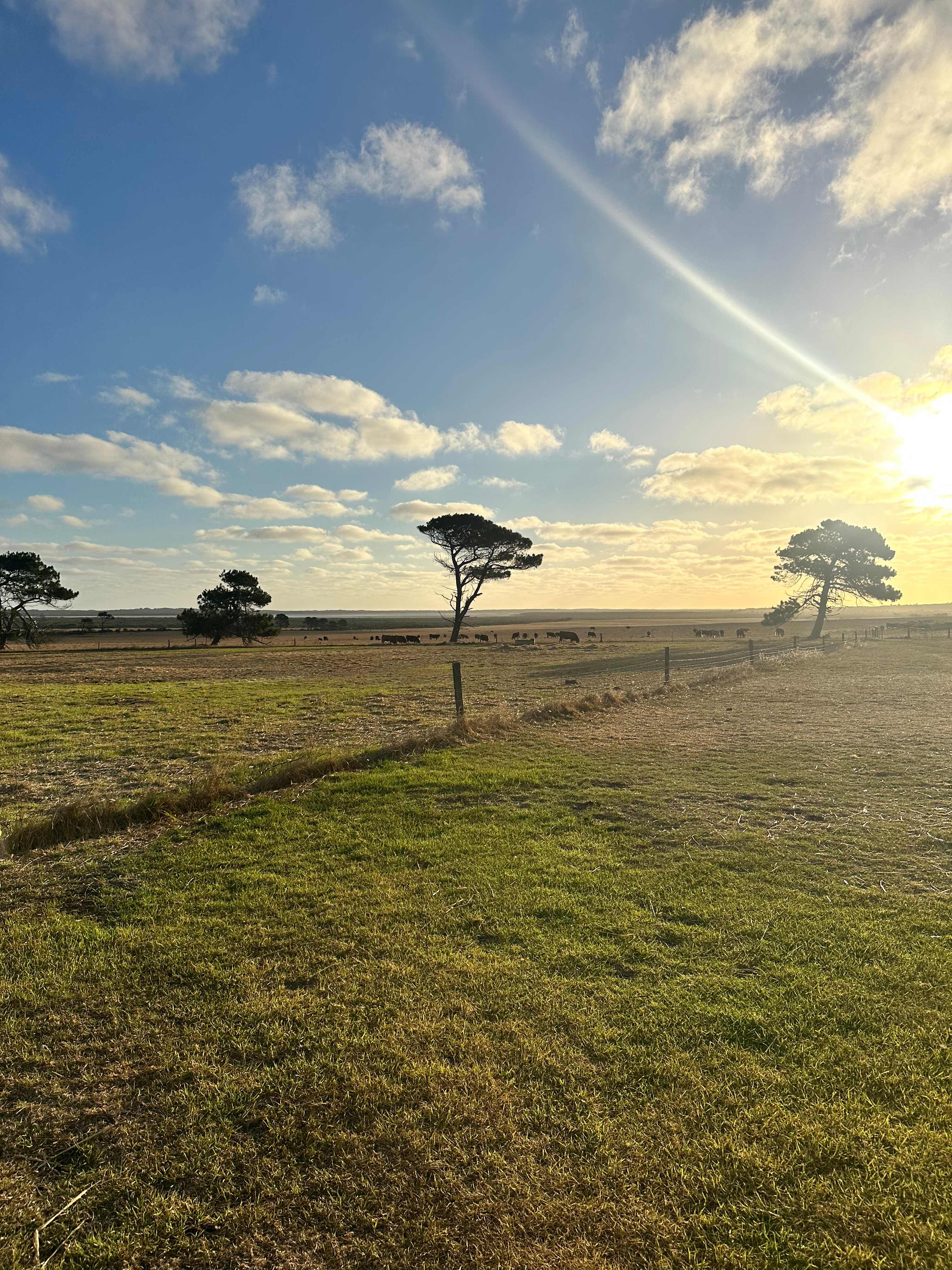 Munglinup Farm Stay