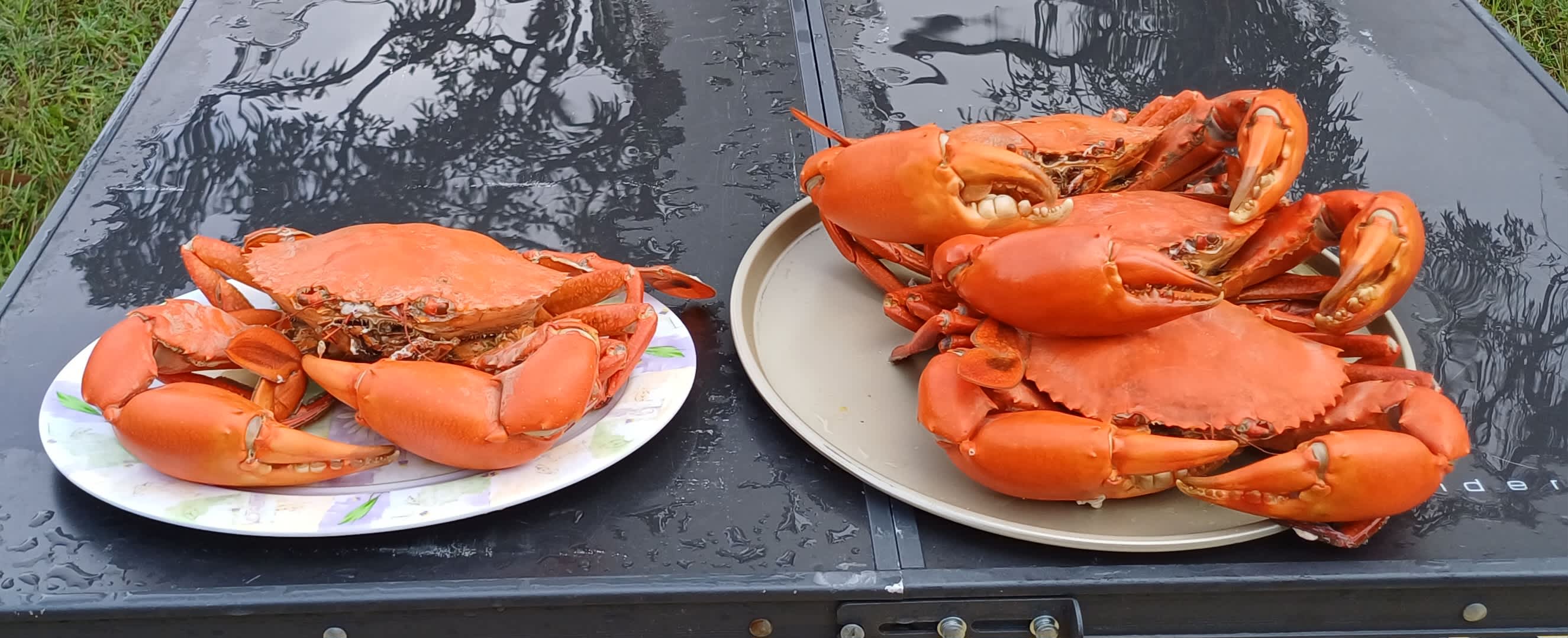 Sandy Straits Hipcamp