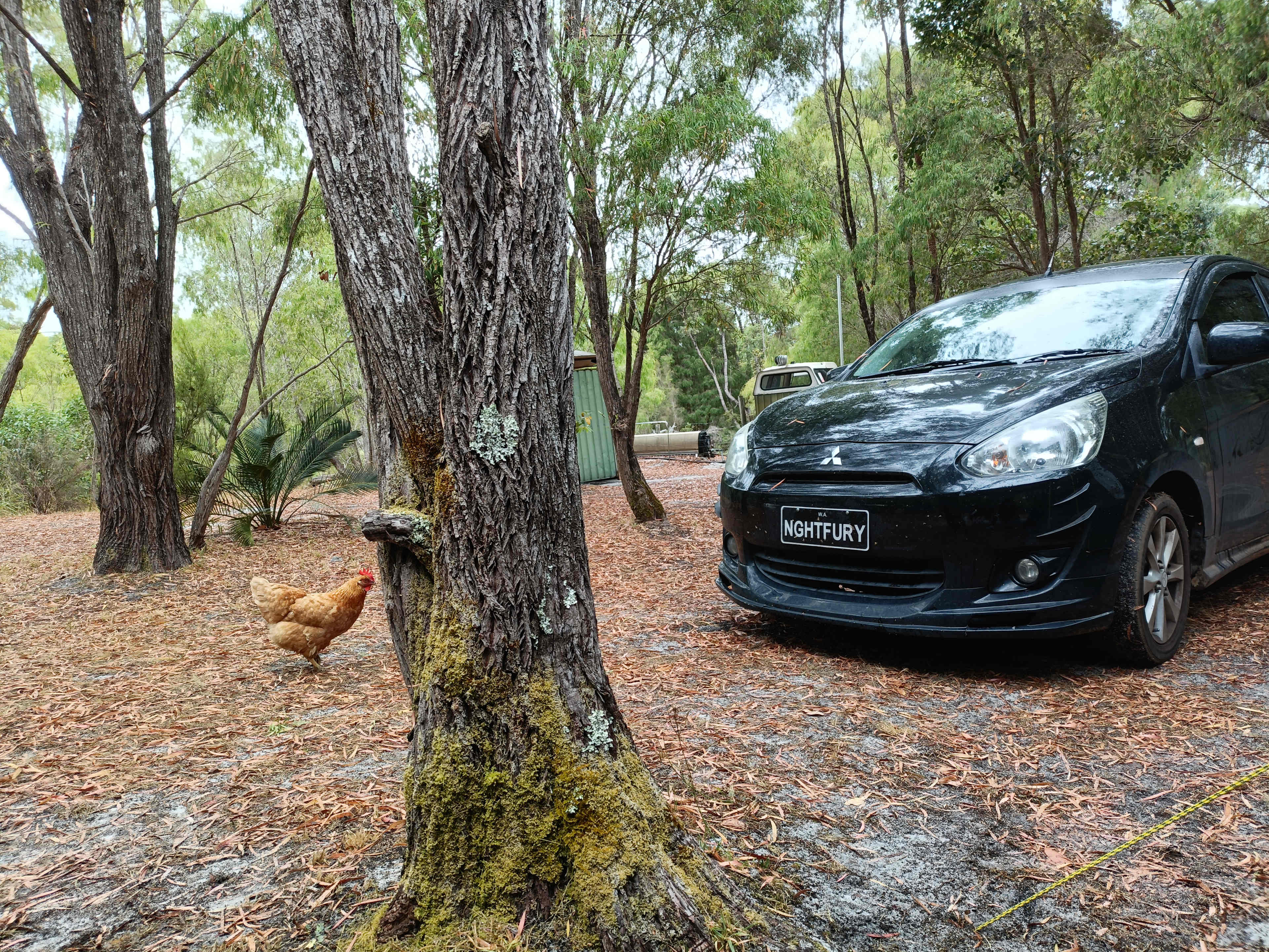 Northcliffe Deluxe Bush Camp