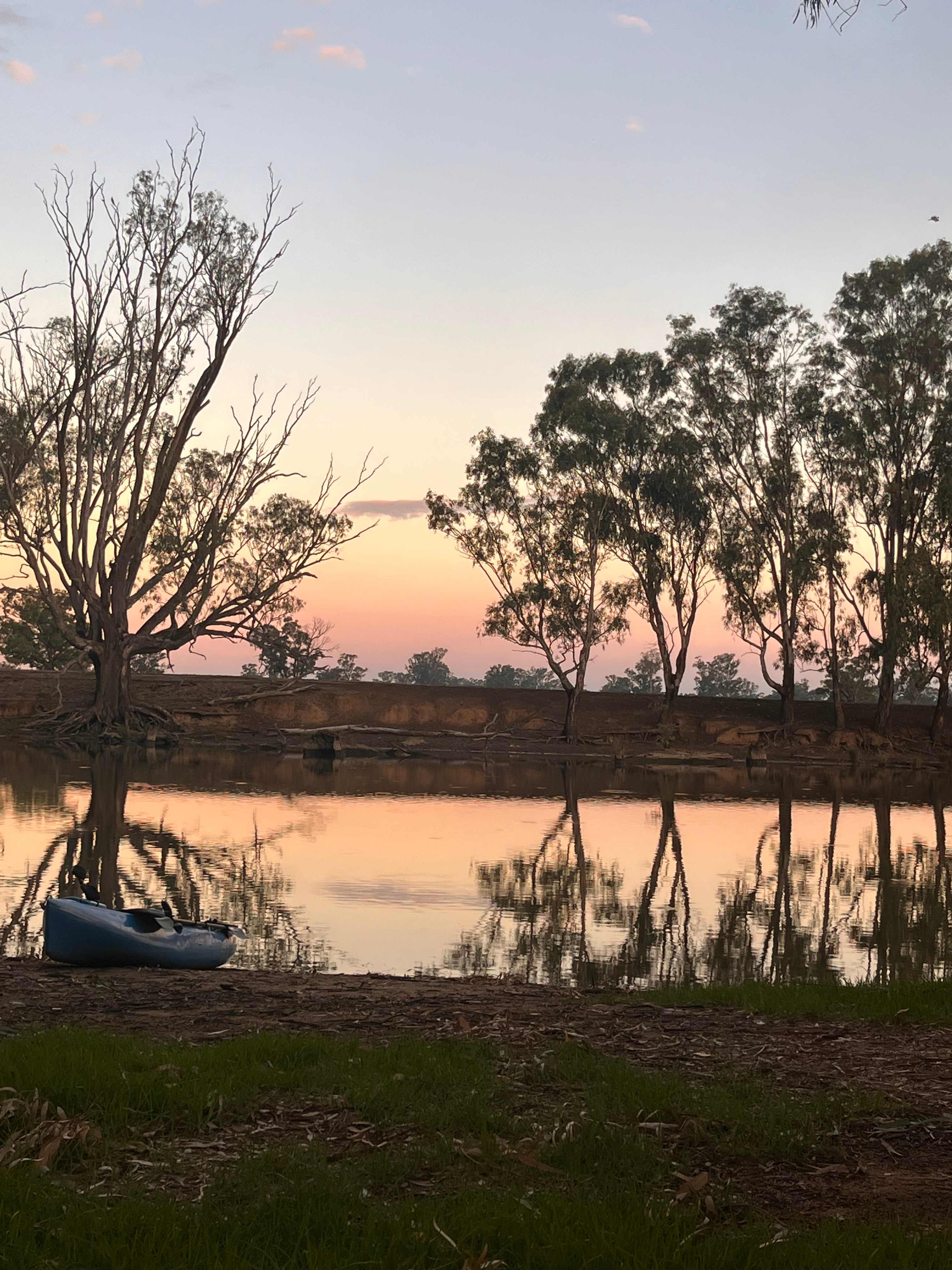 Cudgella on Bundidgerry Creek