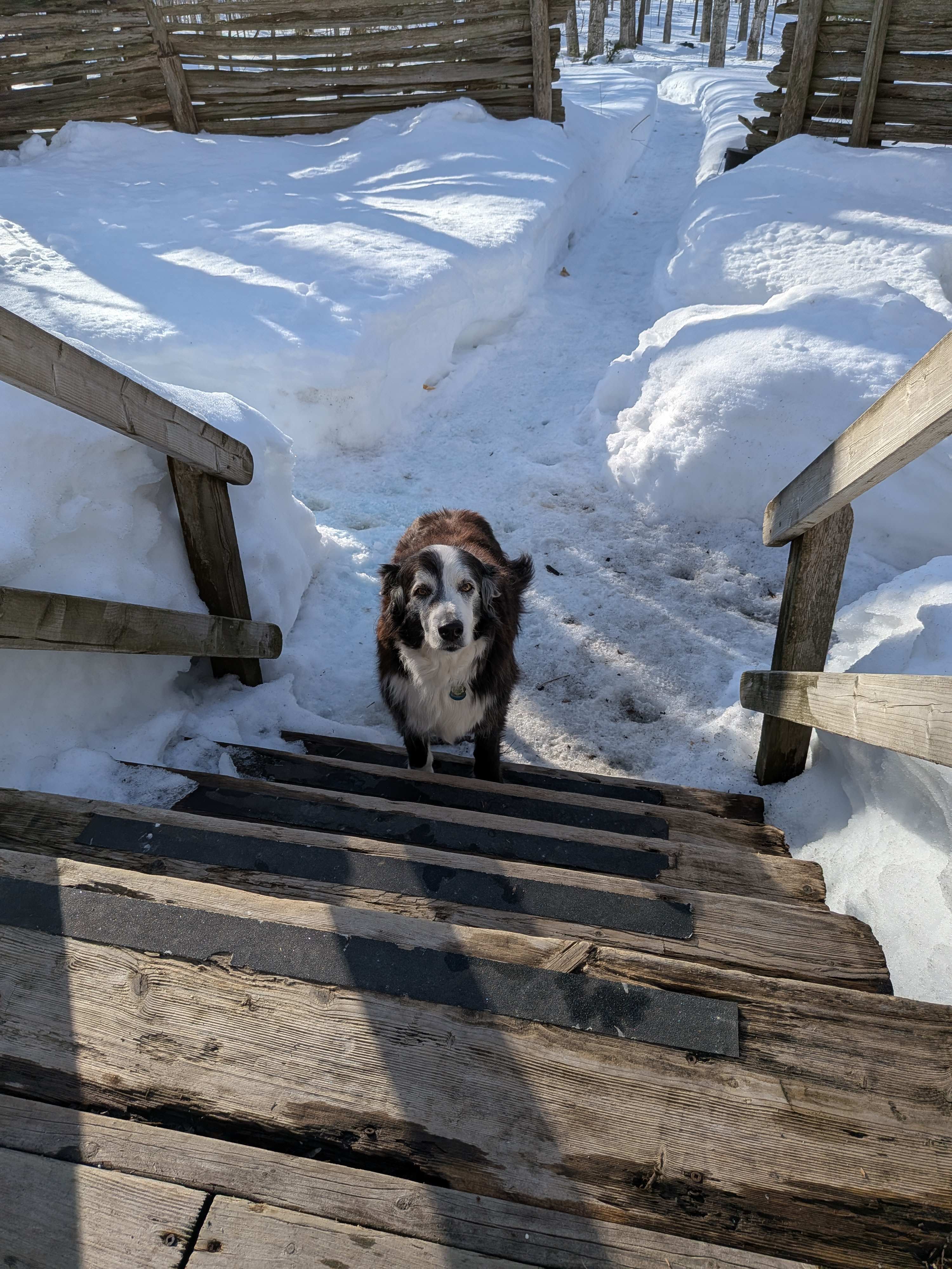 Extra super friendly welcome team member 