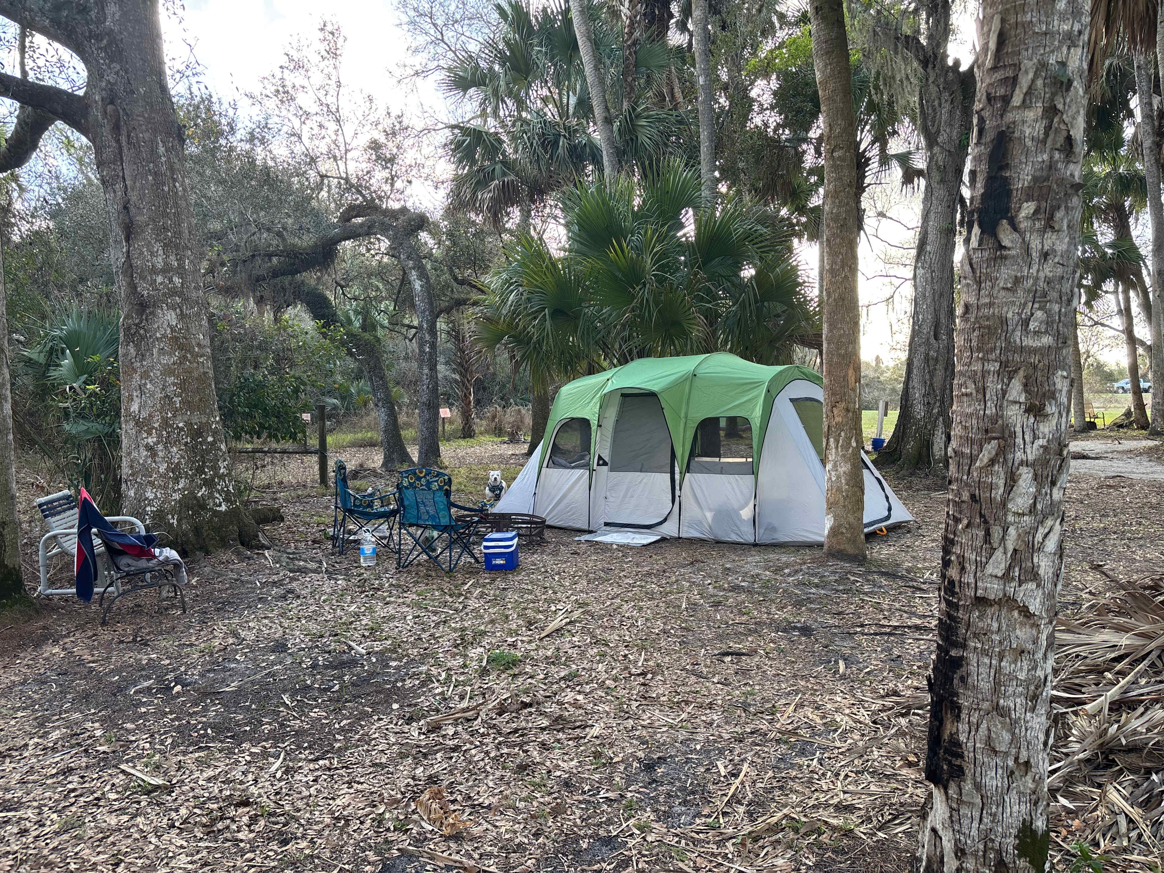 Taste of Old Florida