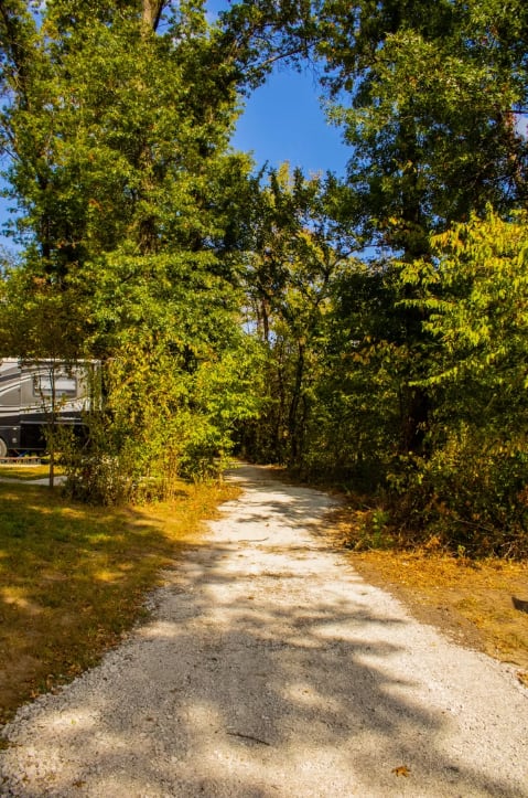 Picture of the site
