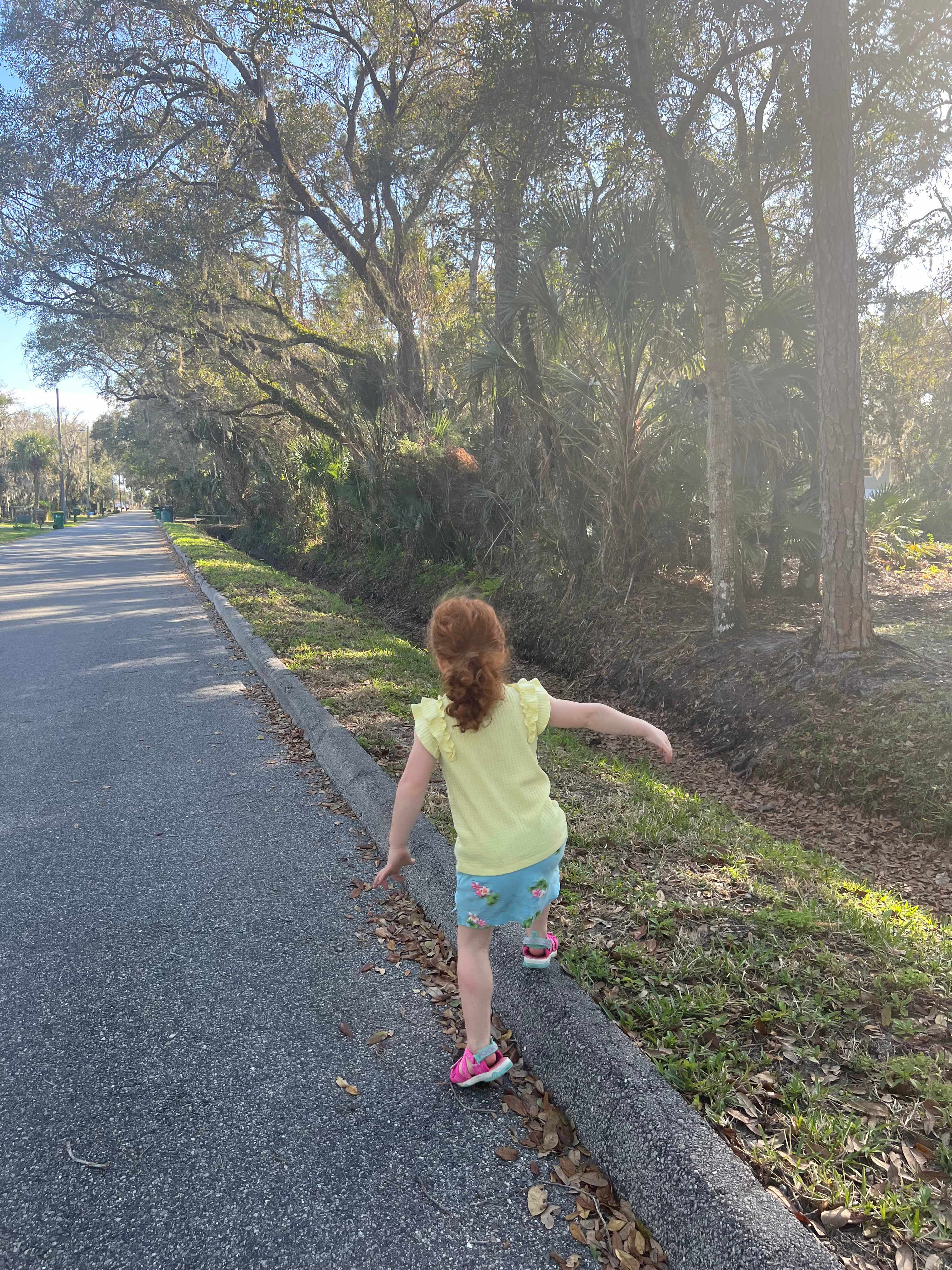 Hammock Road Indian River Camp