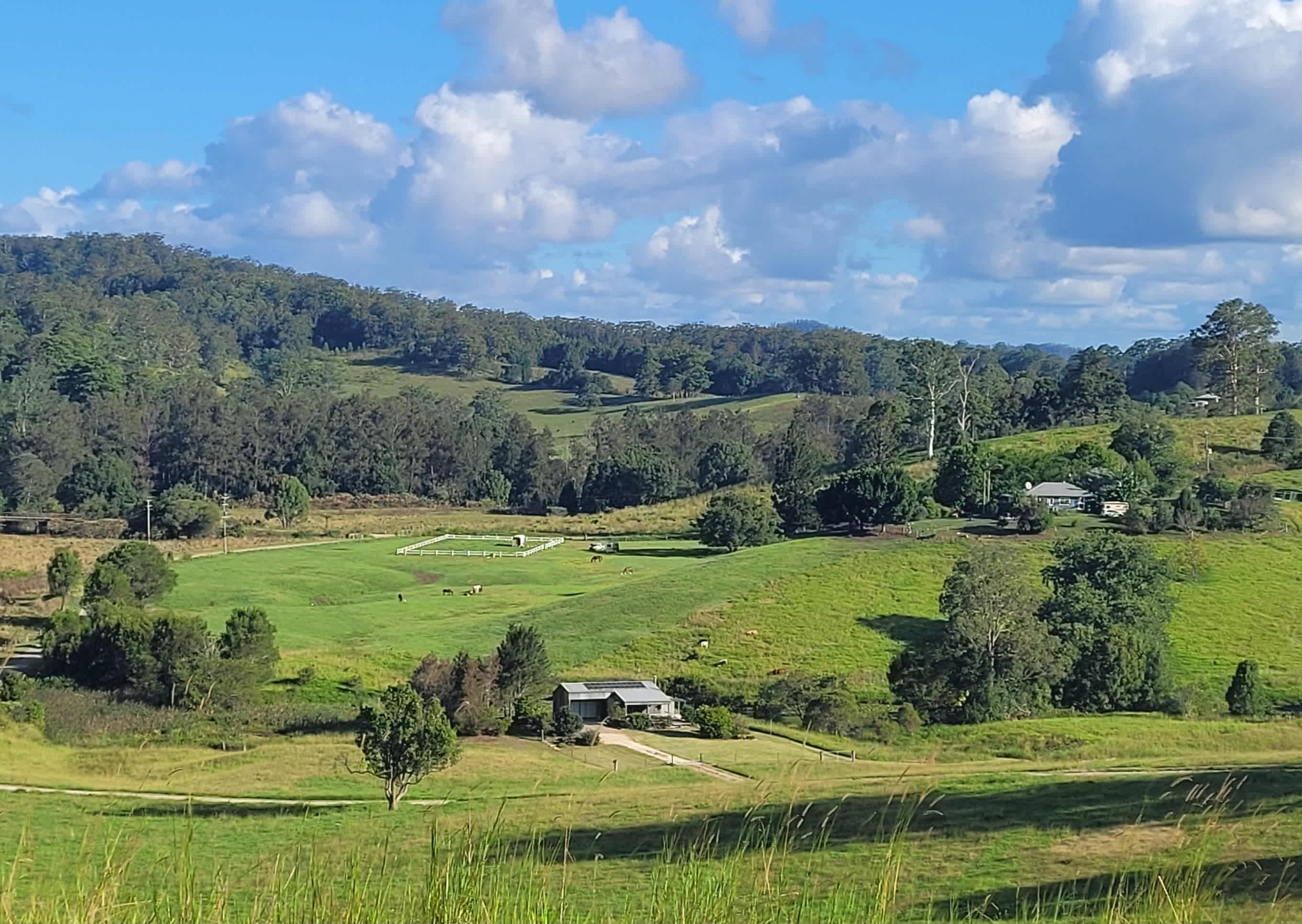 Nambucca Valley Hidden Gem