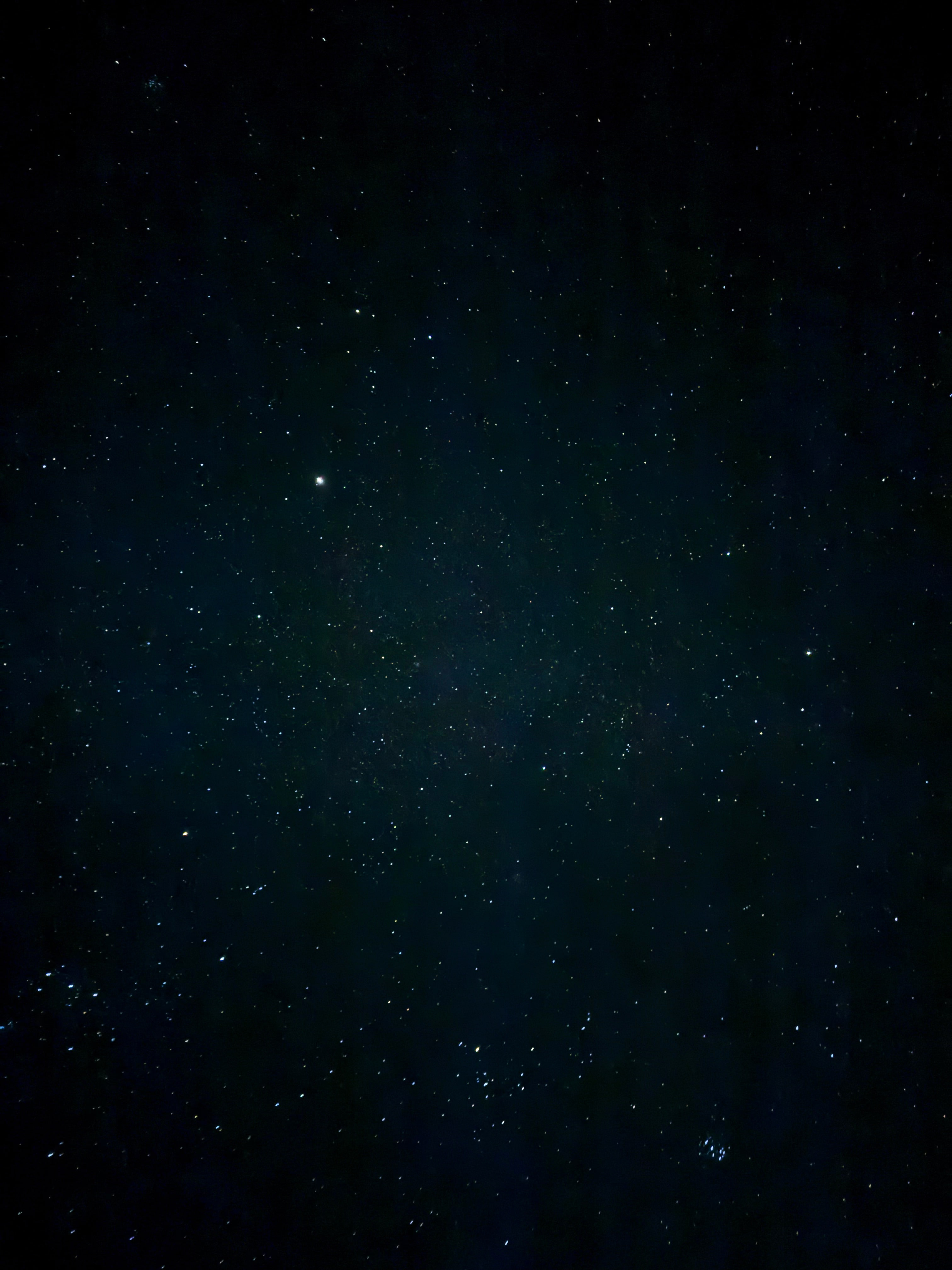 Camp with the Horses! Robison Ranch