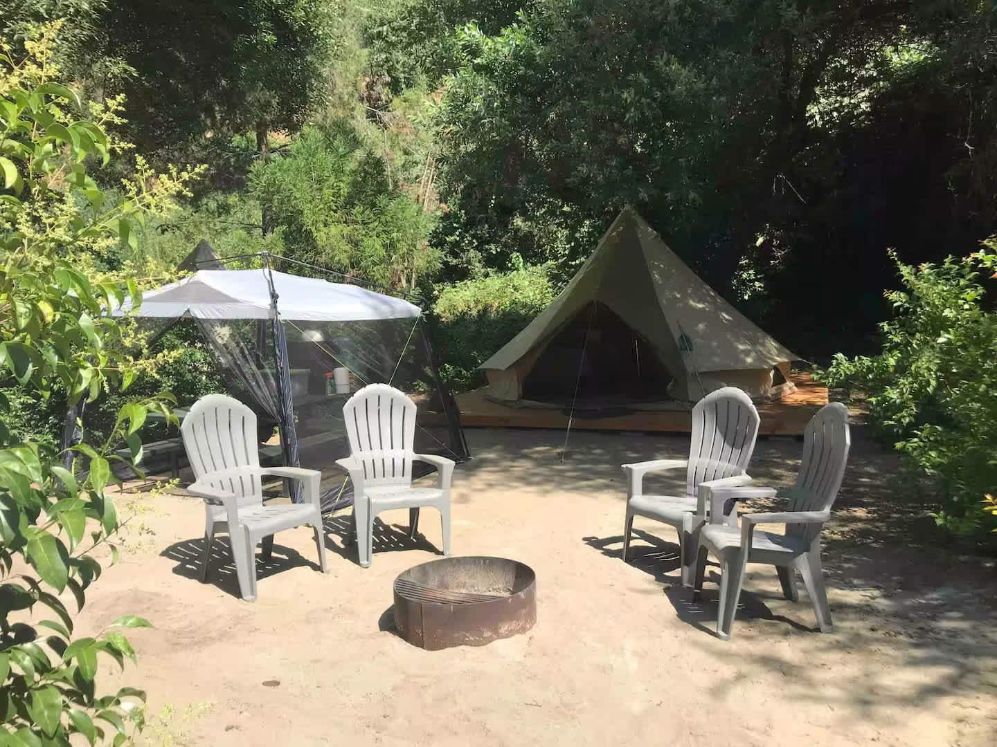 Picture of the site