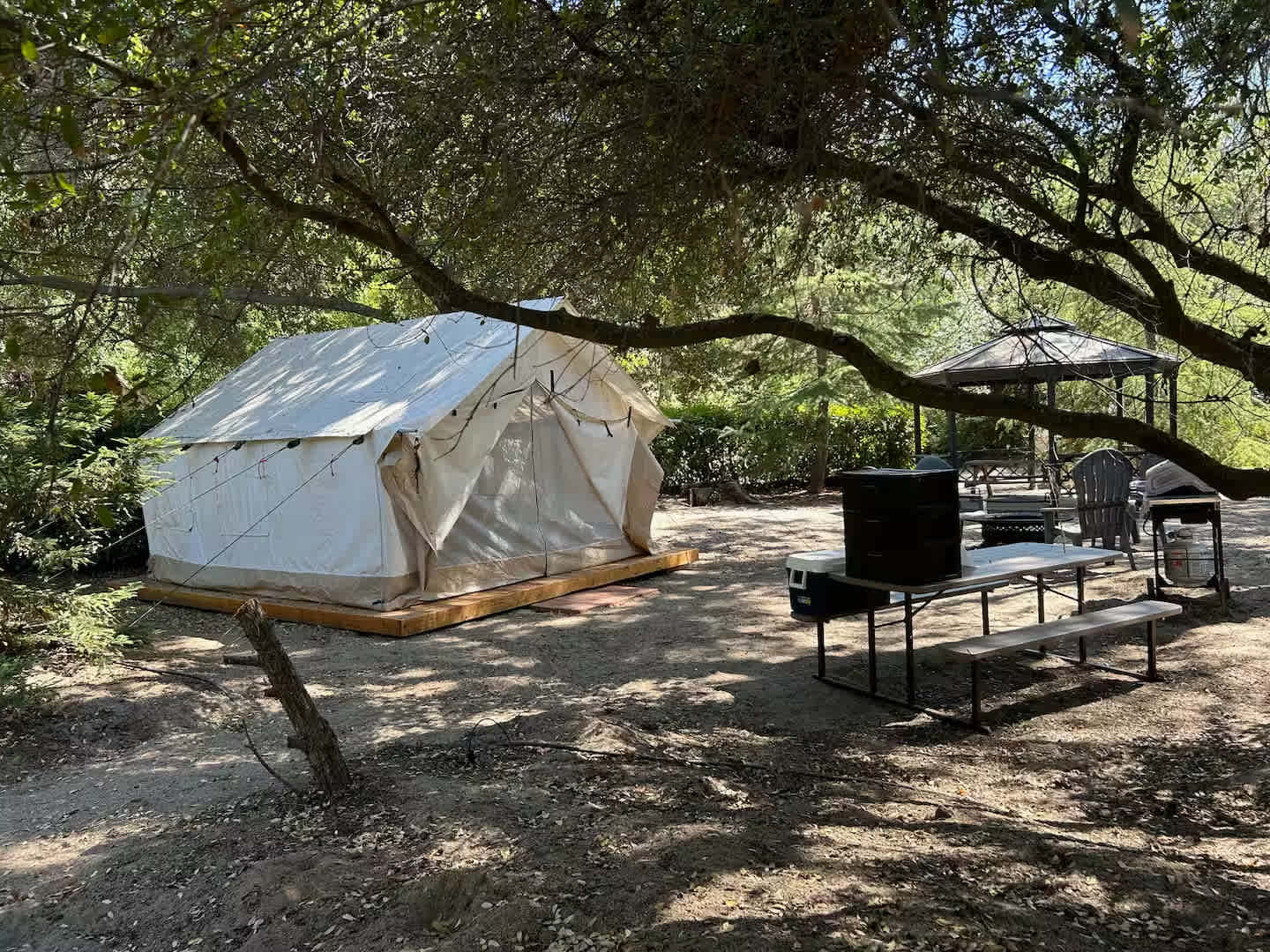Picture of the site
