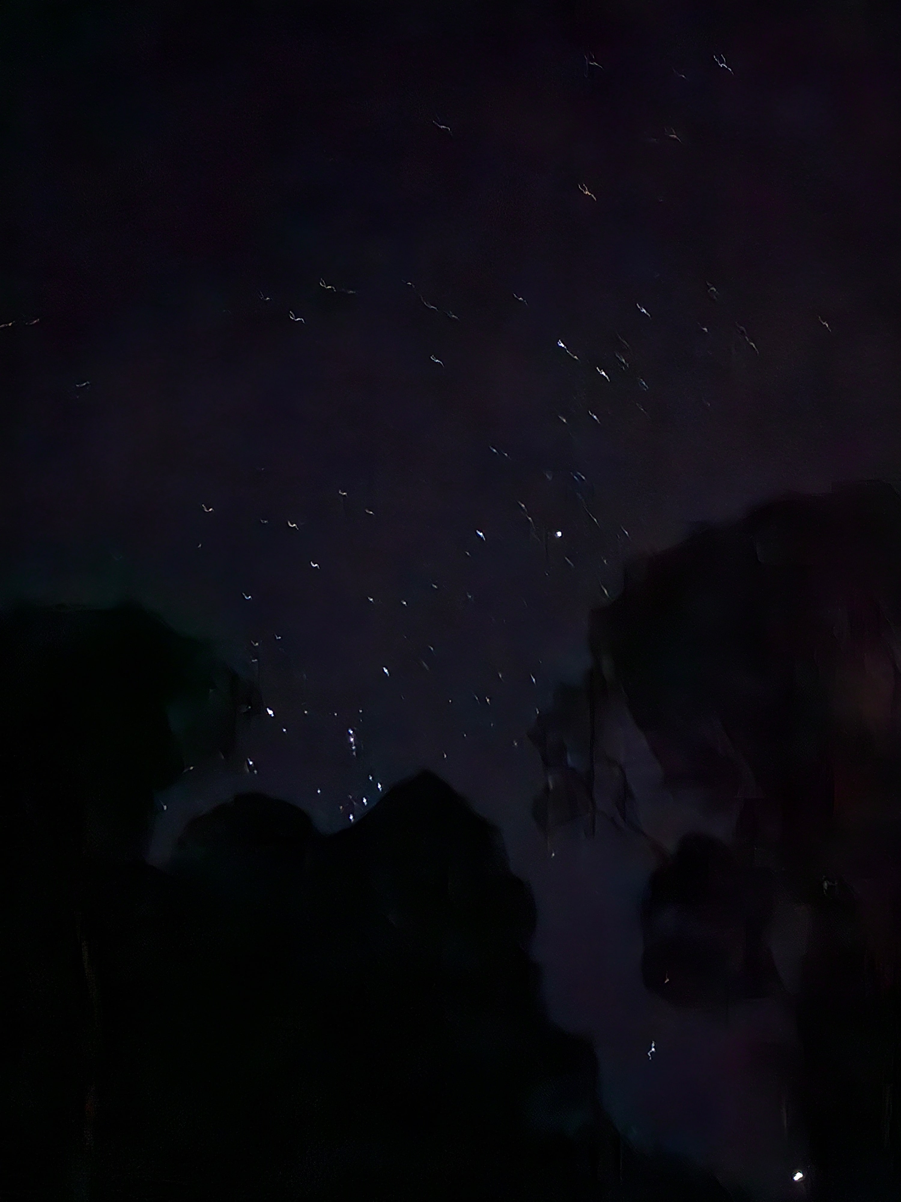 Starry times out here