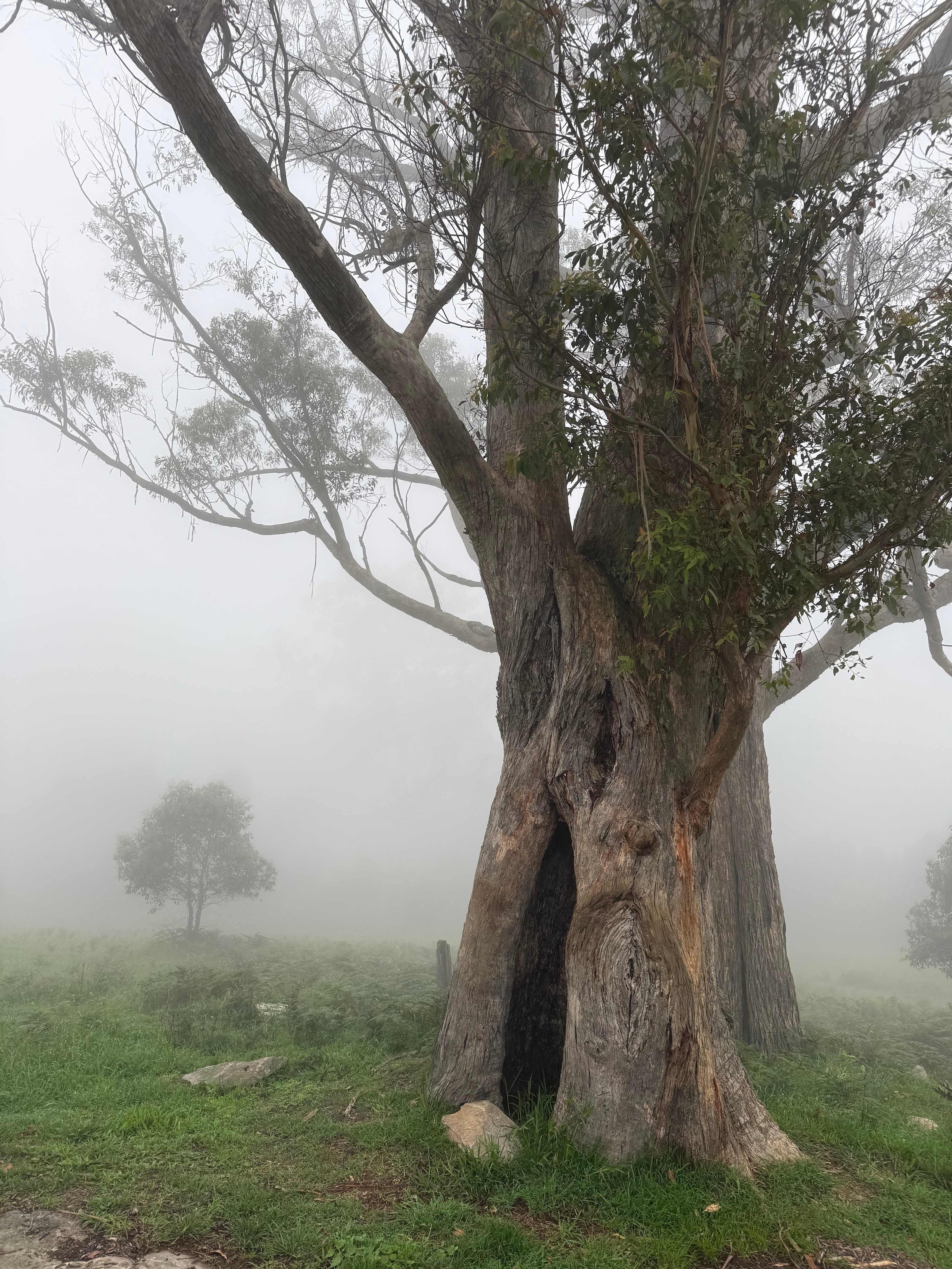Hidden Brook Southern Highlands NSW