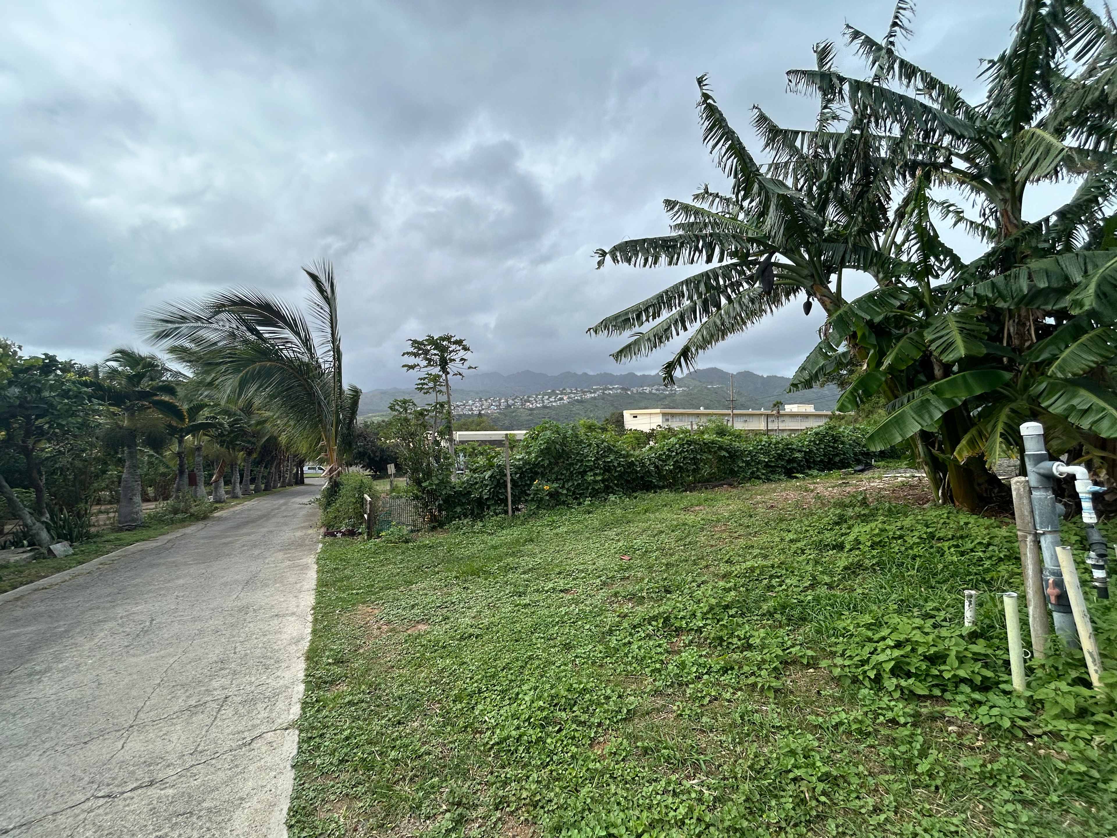 Sun Farm Hawaii @ Koko Head