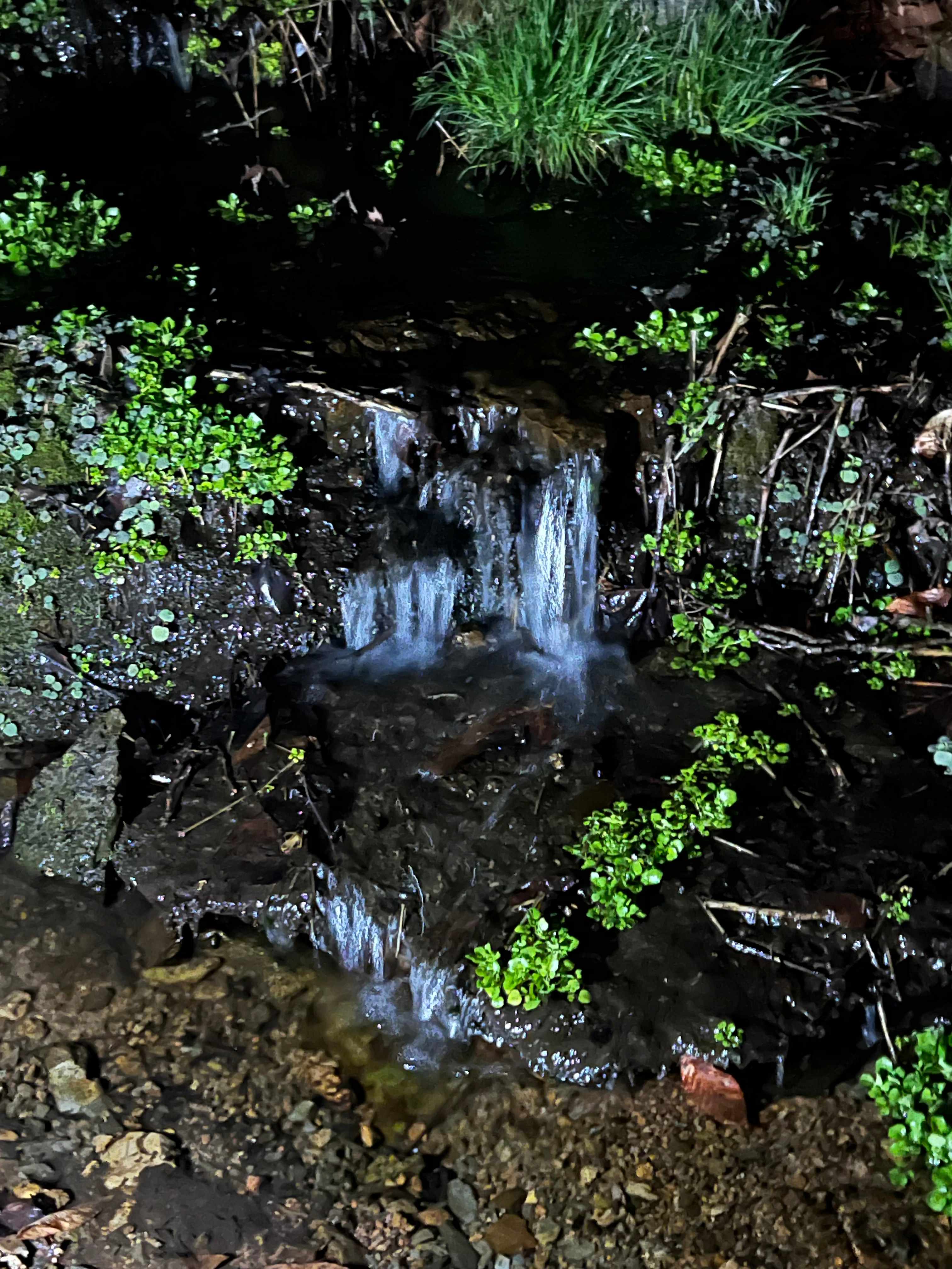 Lionsgate Campground