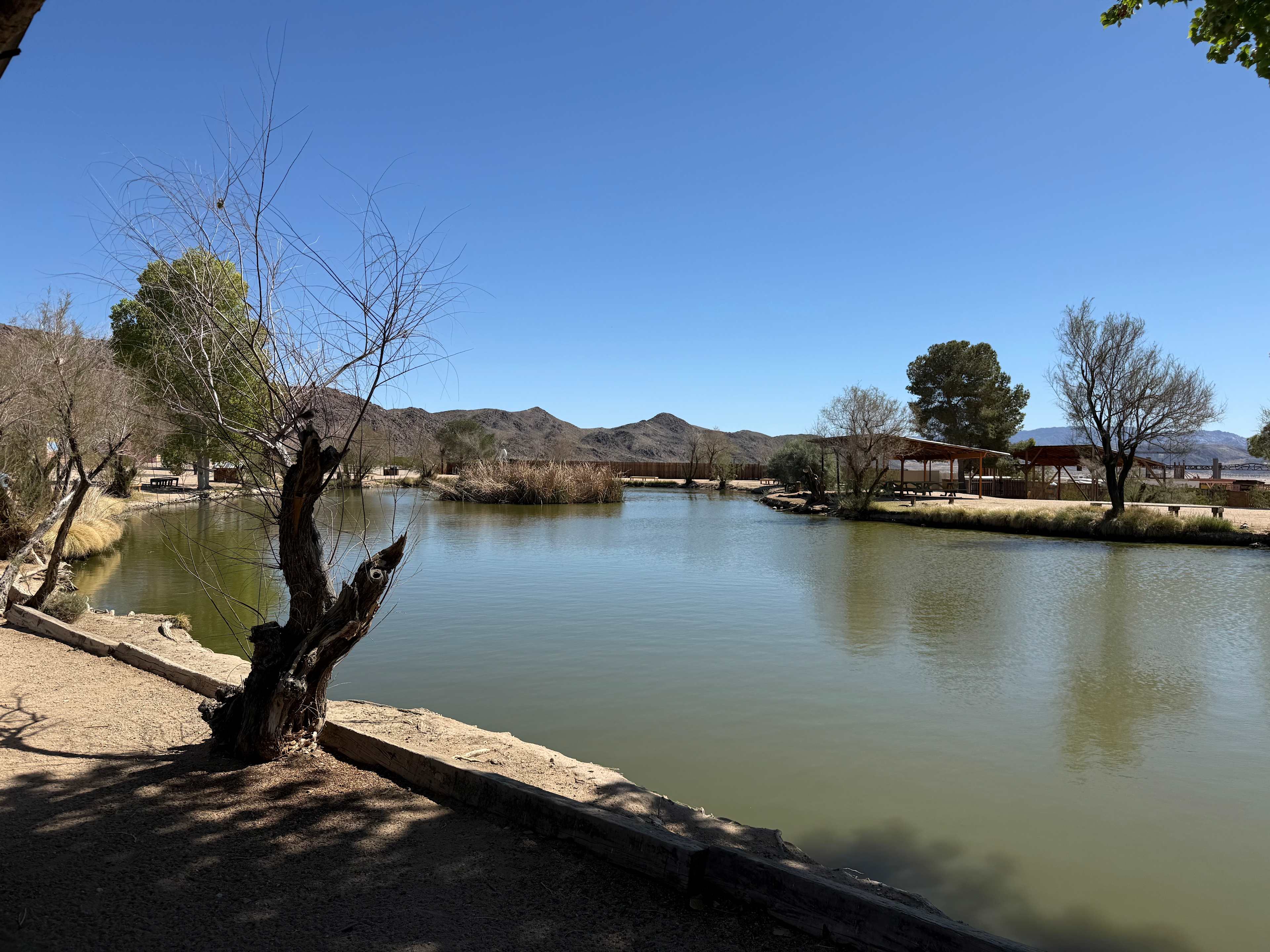 Joshua Tree Lake RV & Campground