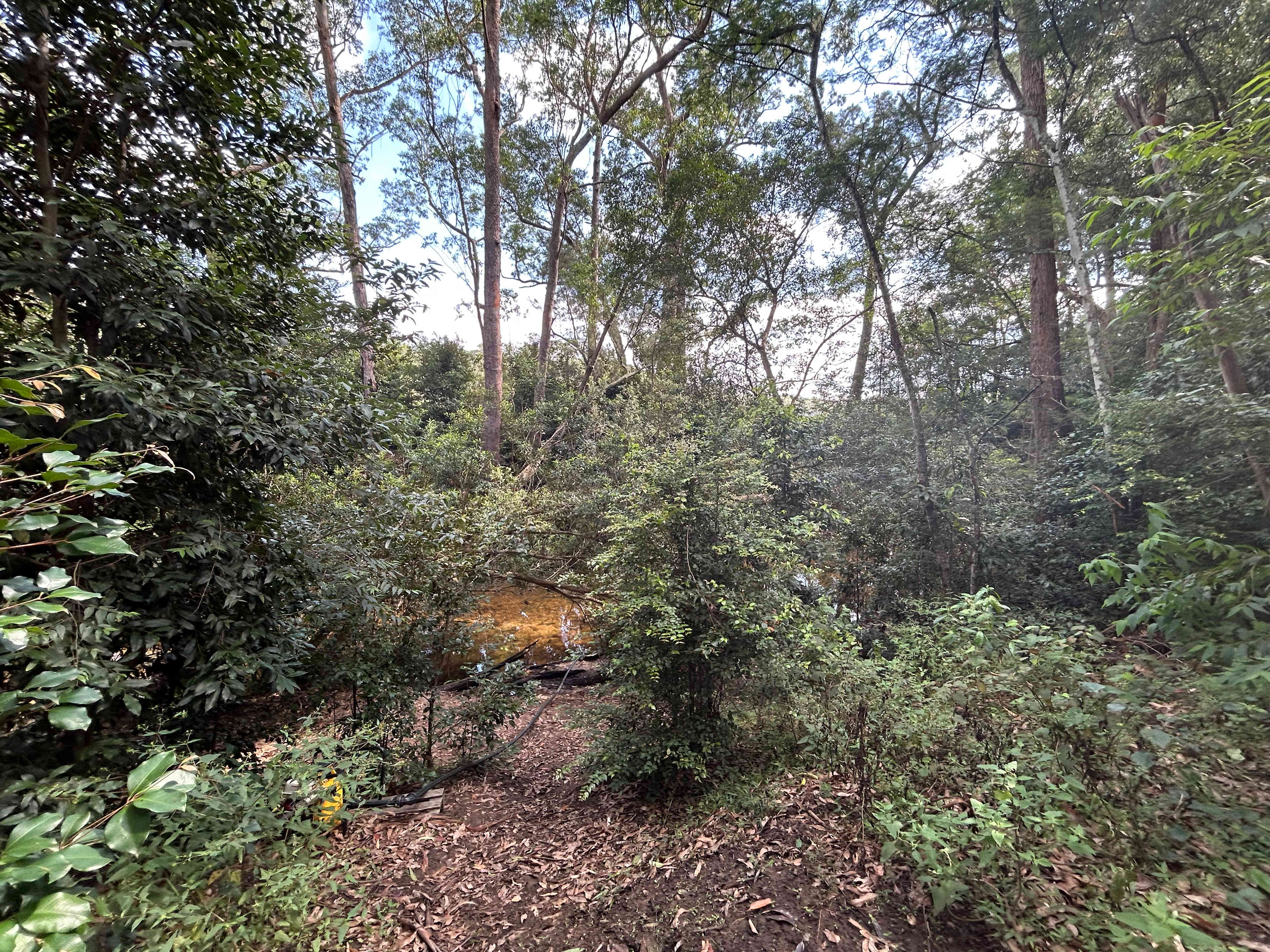 Kookaburra – Peaceful Bush Escape