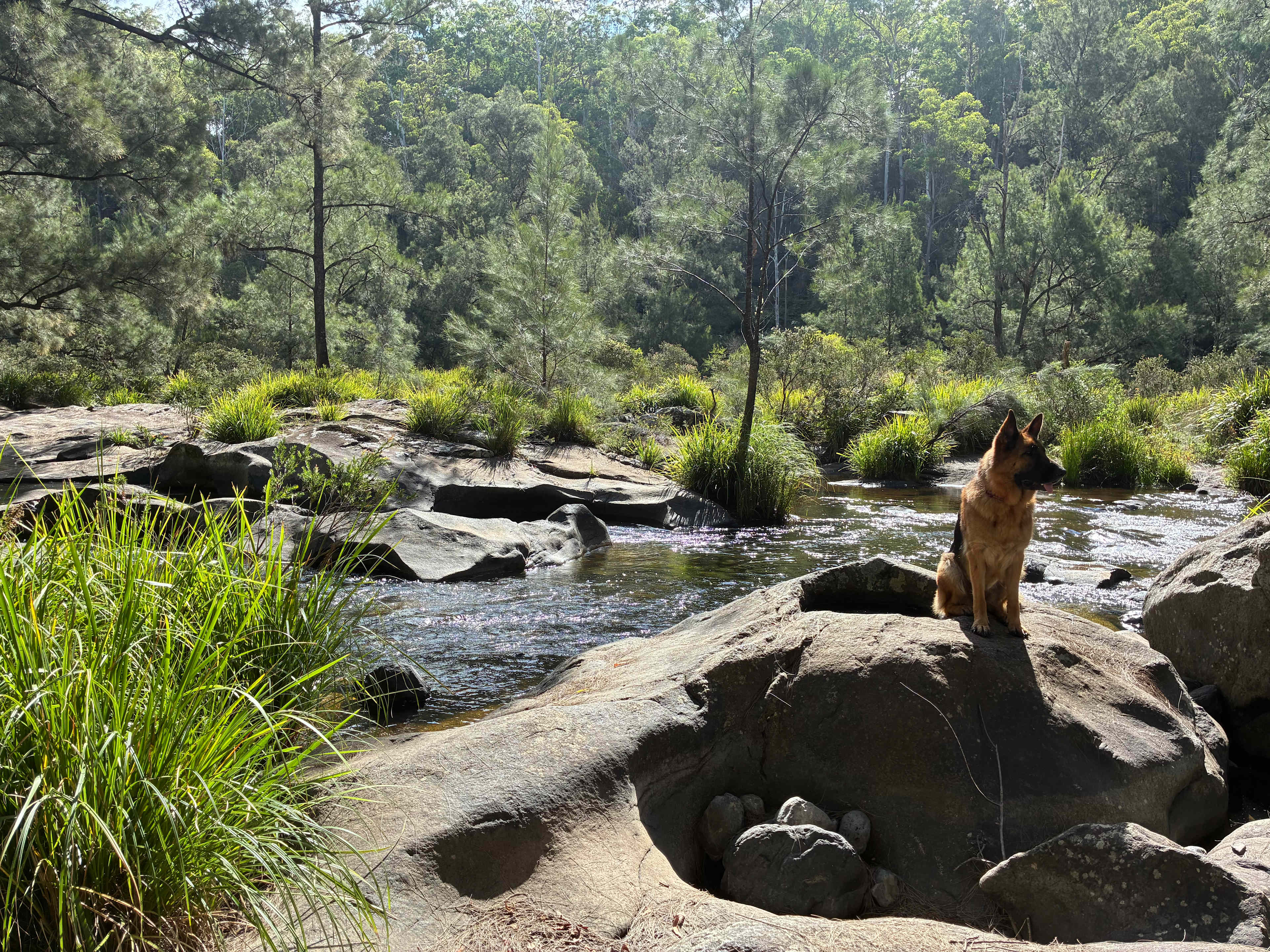 Blicks River Camping