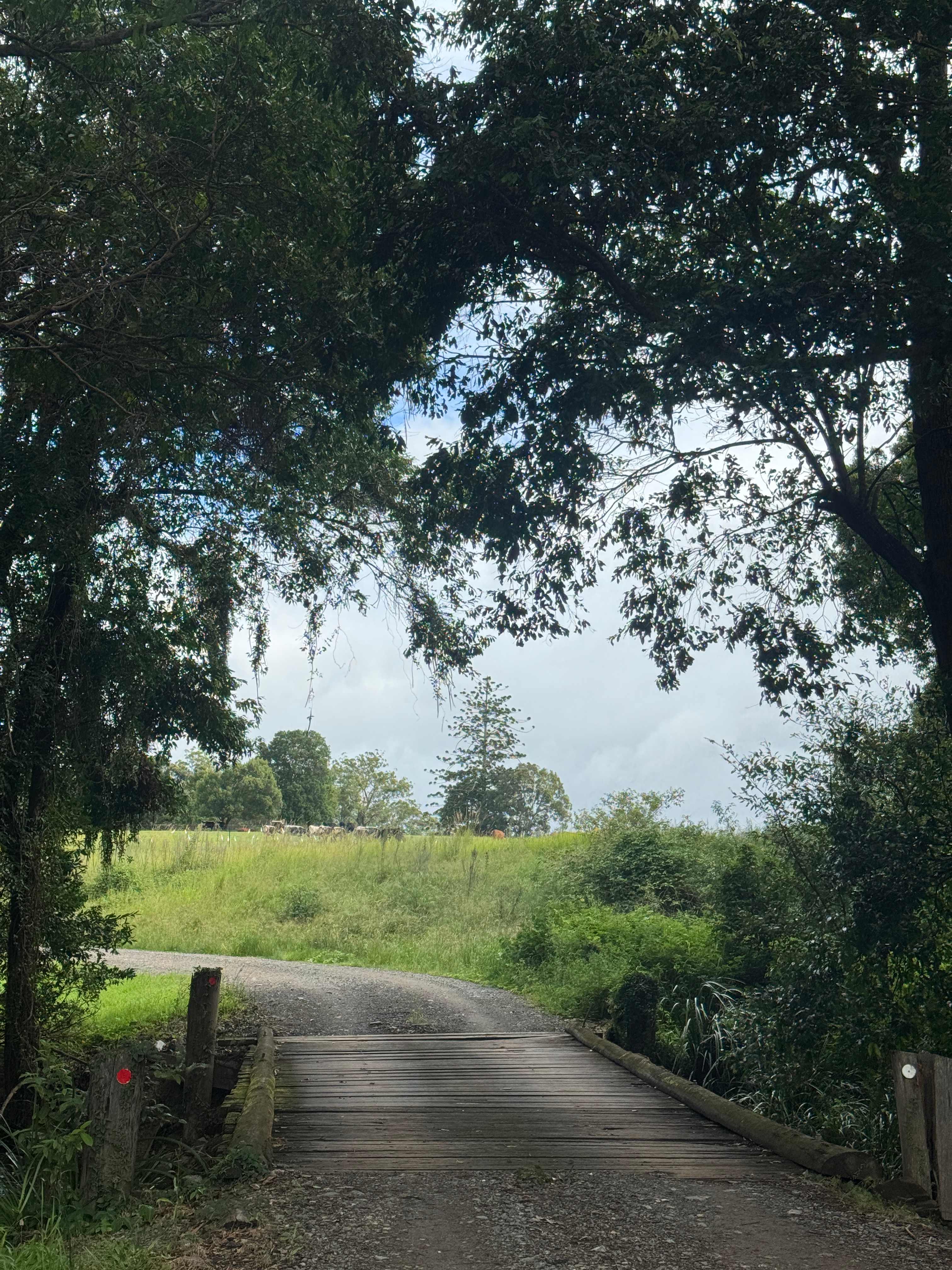 Mothar Mountain Farm