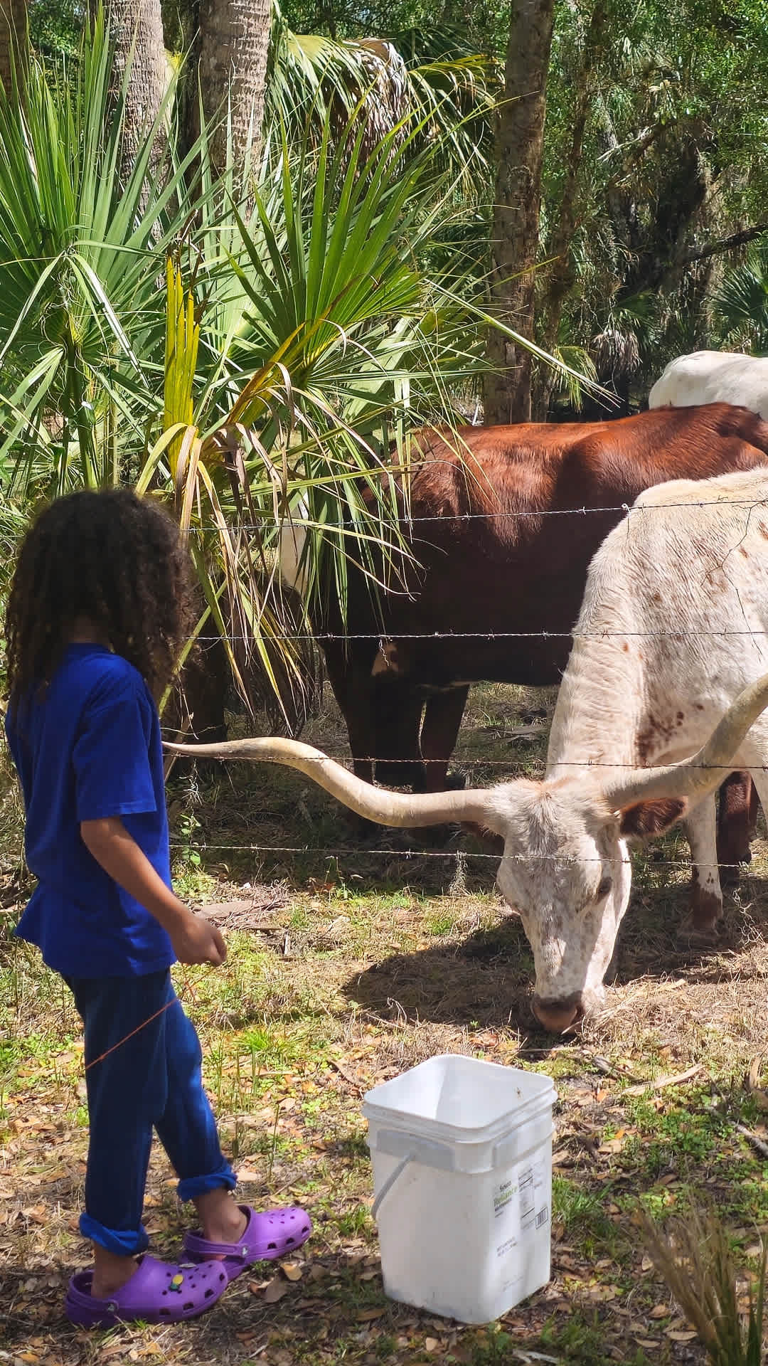 Feeding time in the jungle