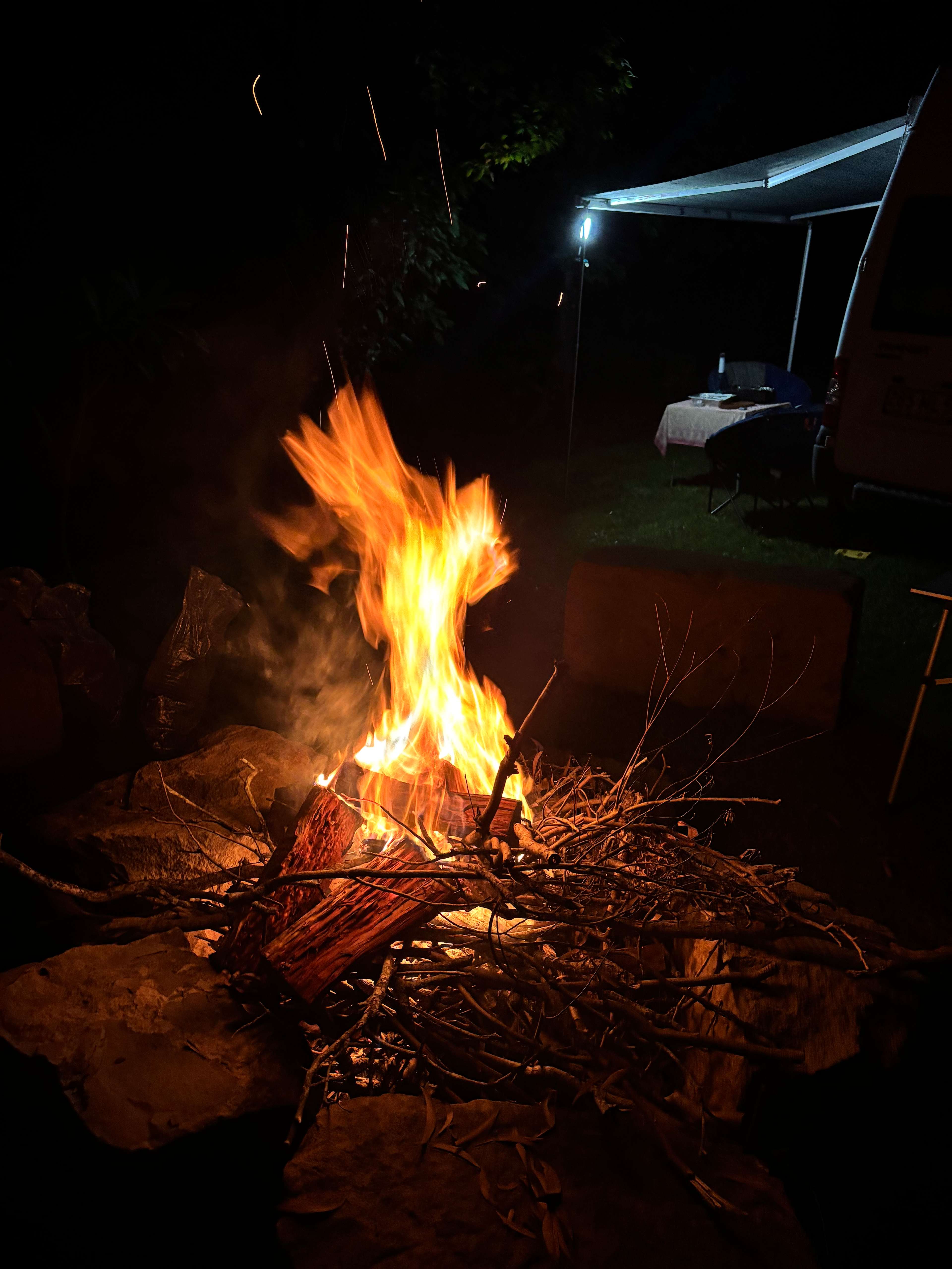 The Enchanted Paddock