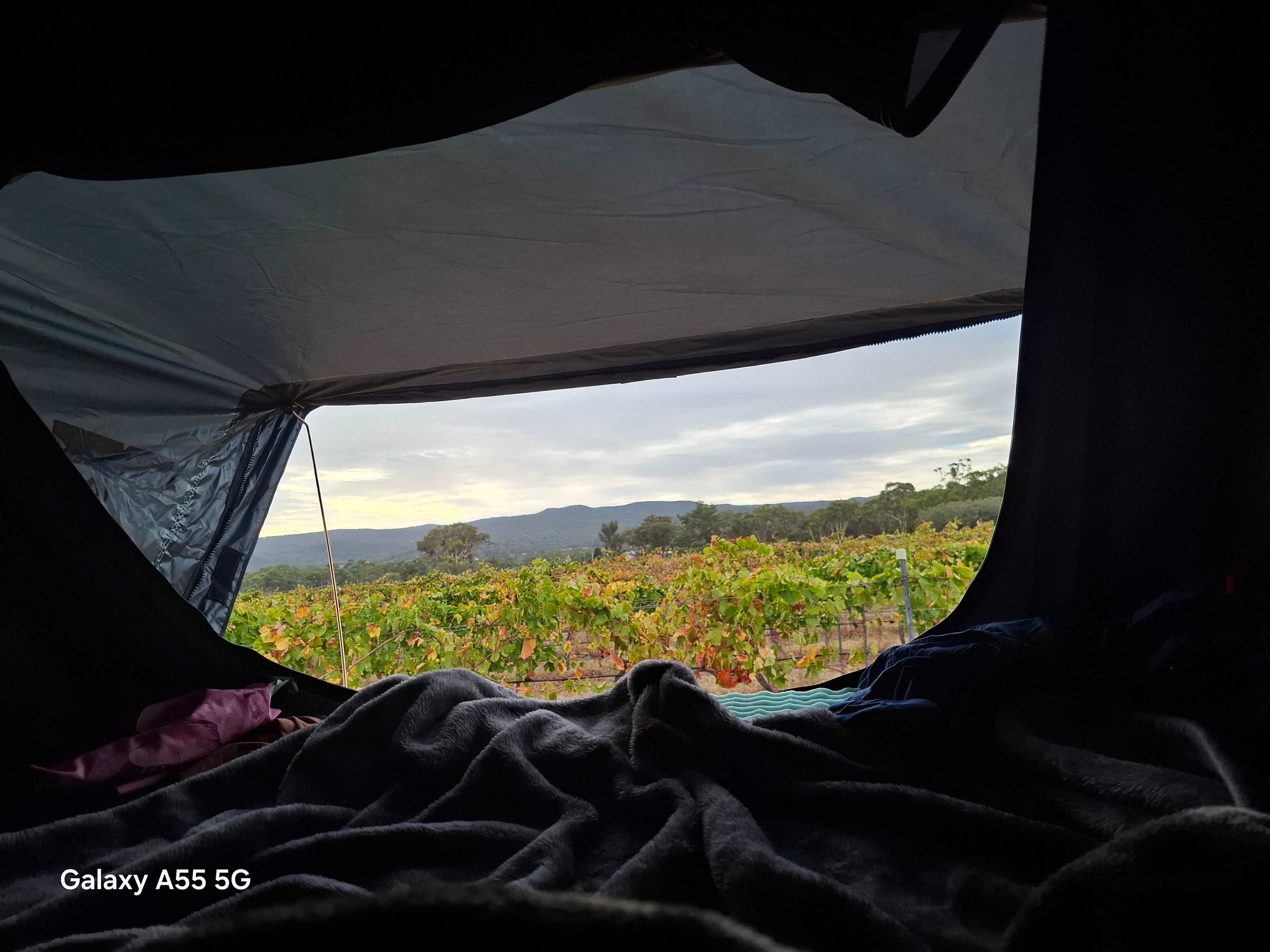 Morning veiw from camp