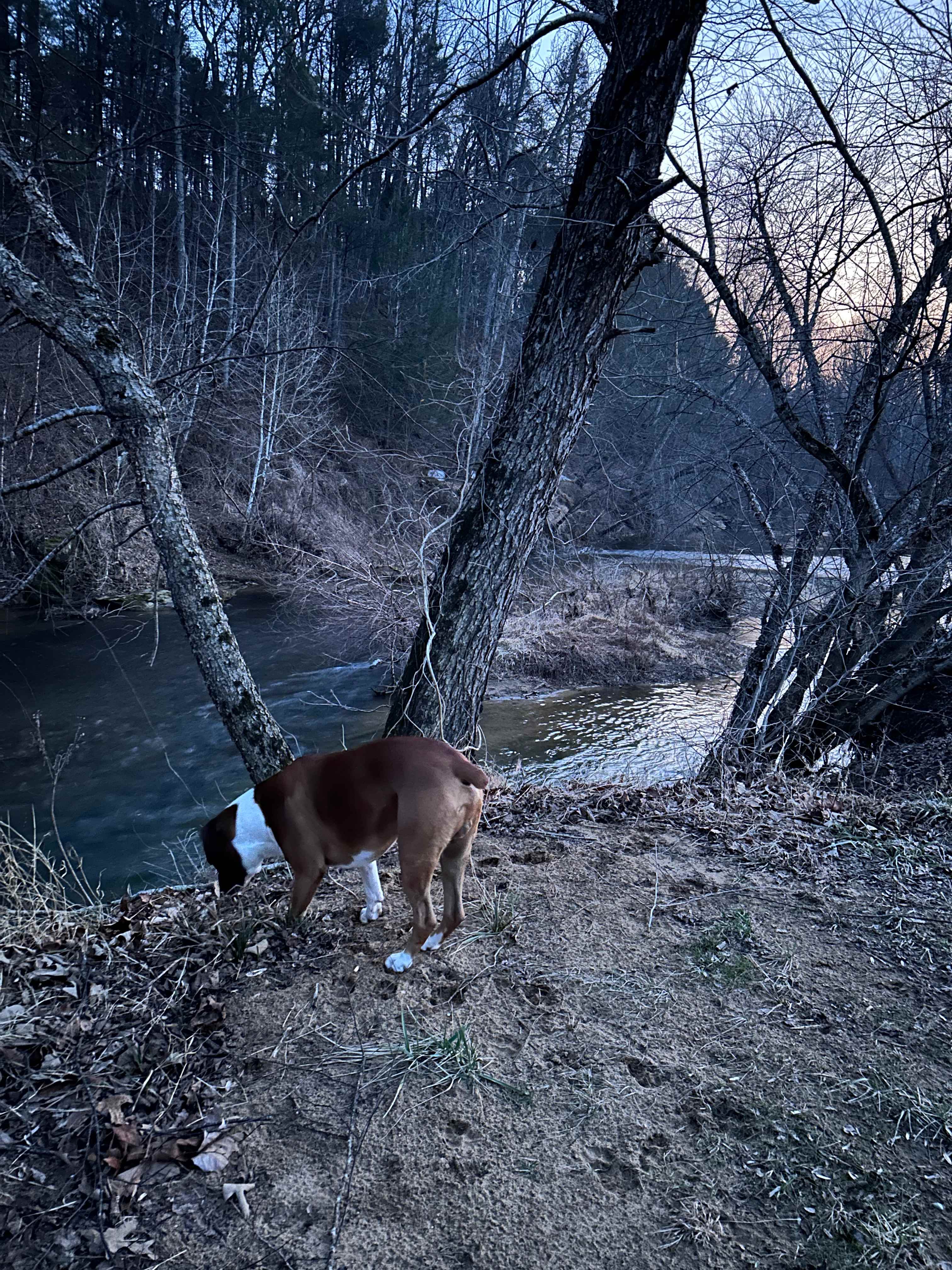 Private Paradise on Rivers Bend