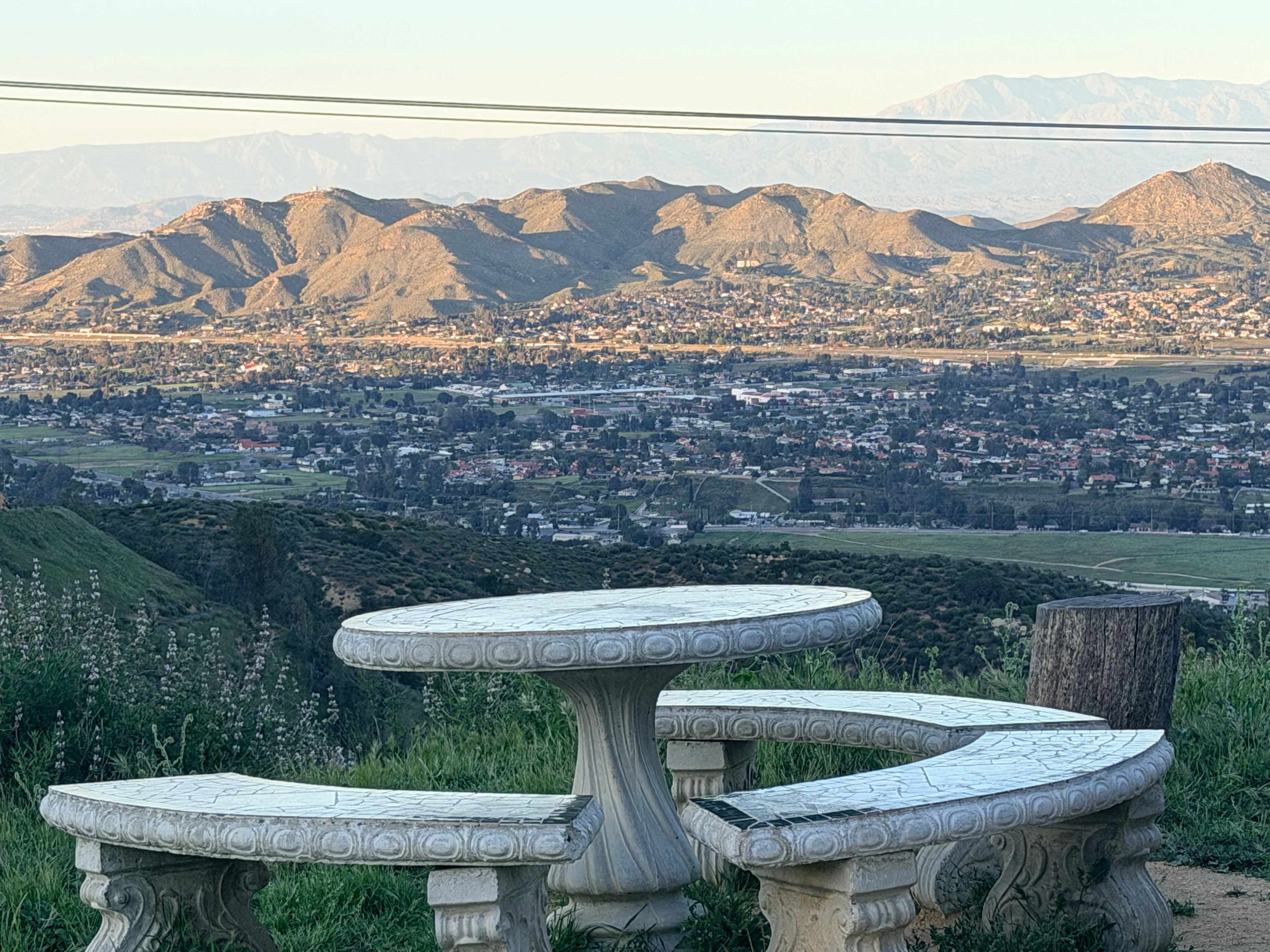 Zephyr Mountain Avocado Grove