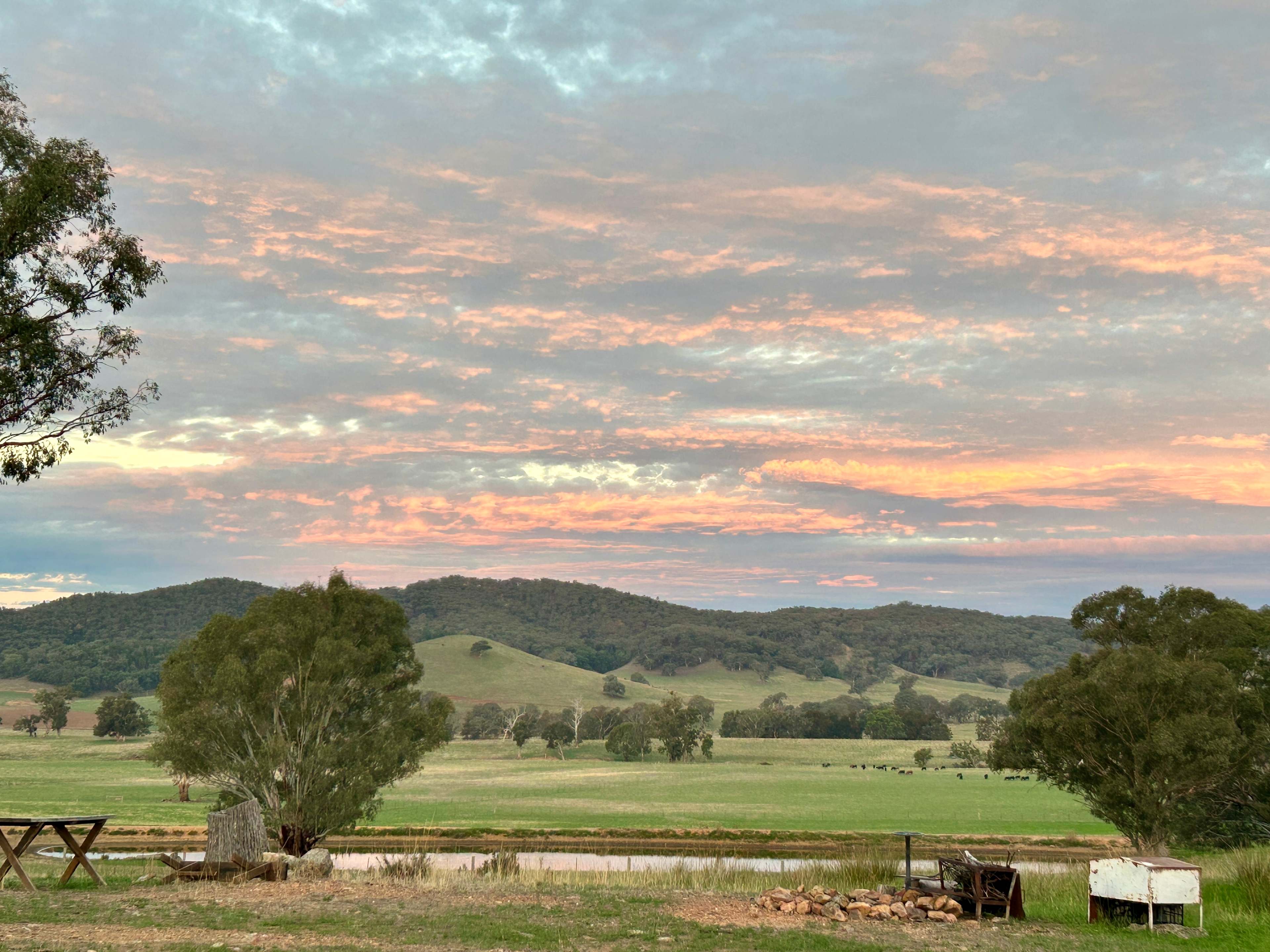 Dunollie Ridge - Groups welcome